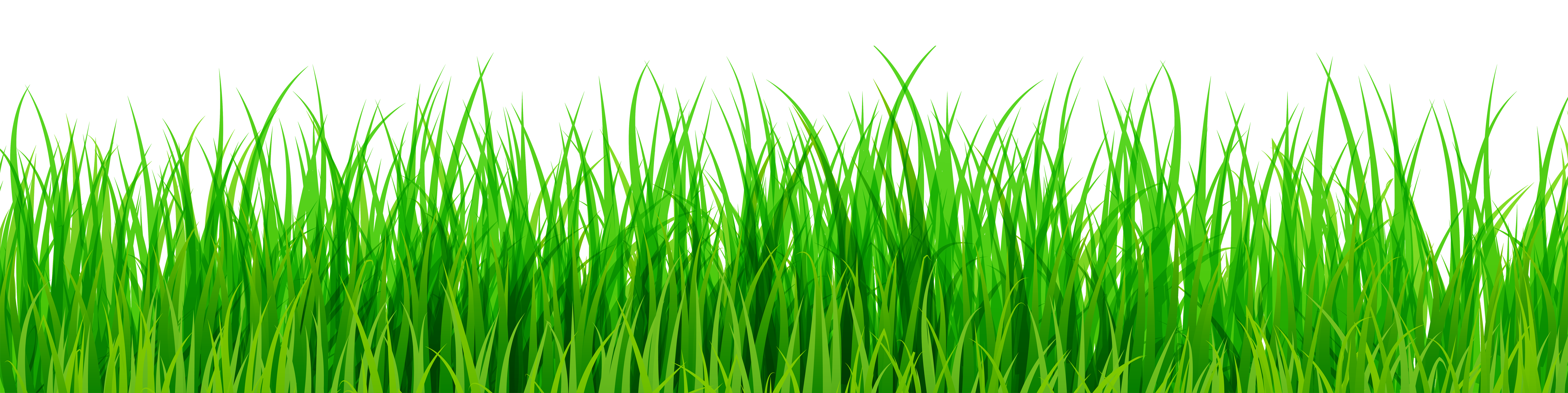 2066 Green Grass Png Clip Art