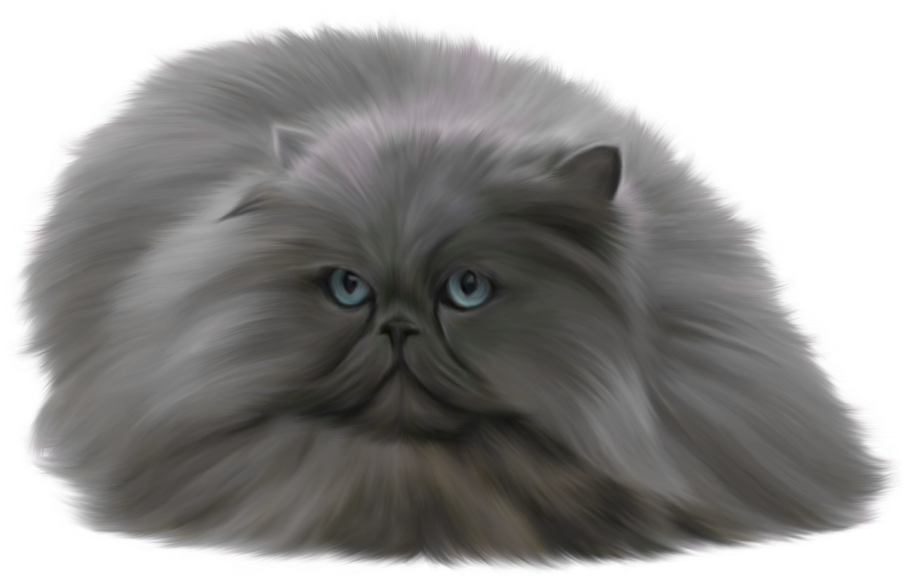 Grey Cat PNG Clip Art - Best WEB Clipart