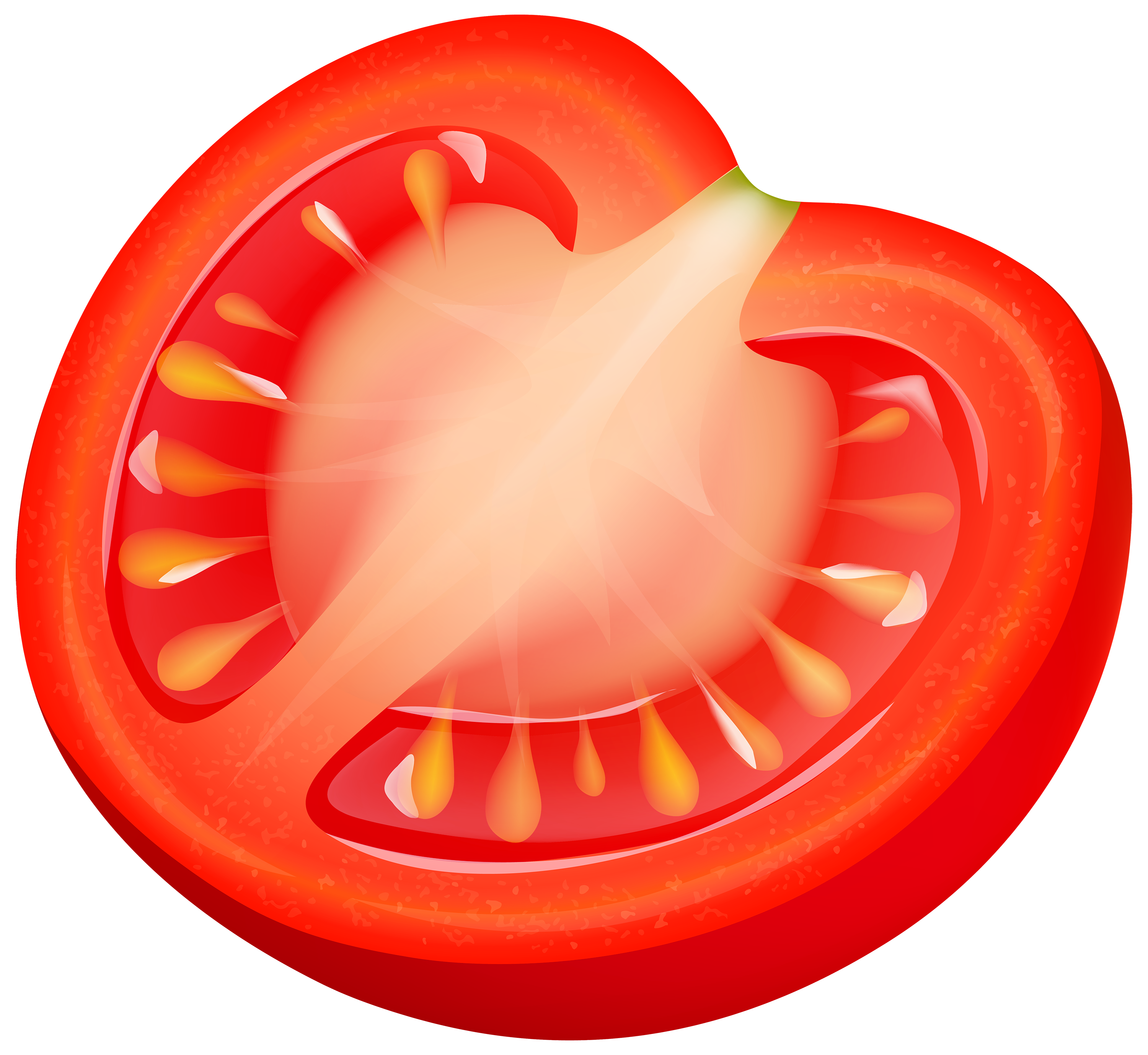 Half Tomatto PNG Clipart - Best WEB Clipart