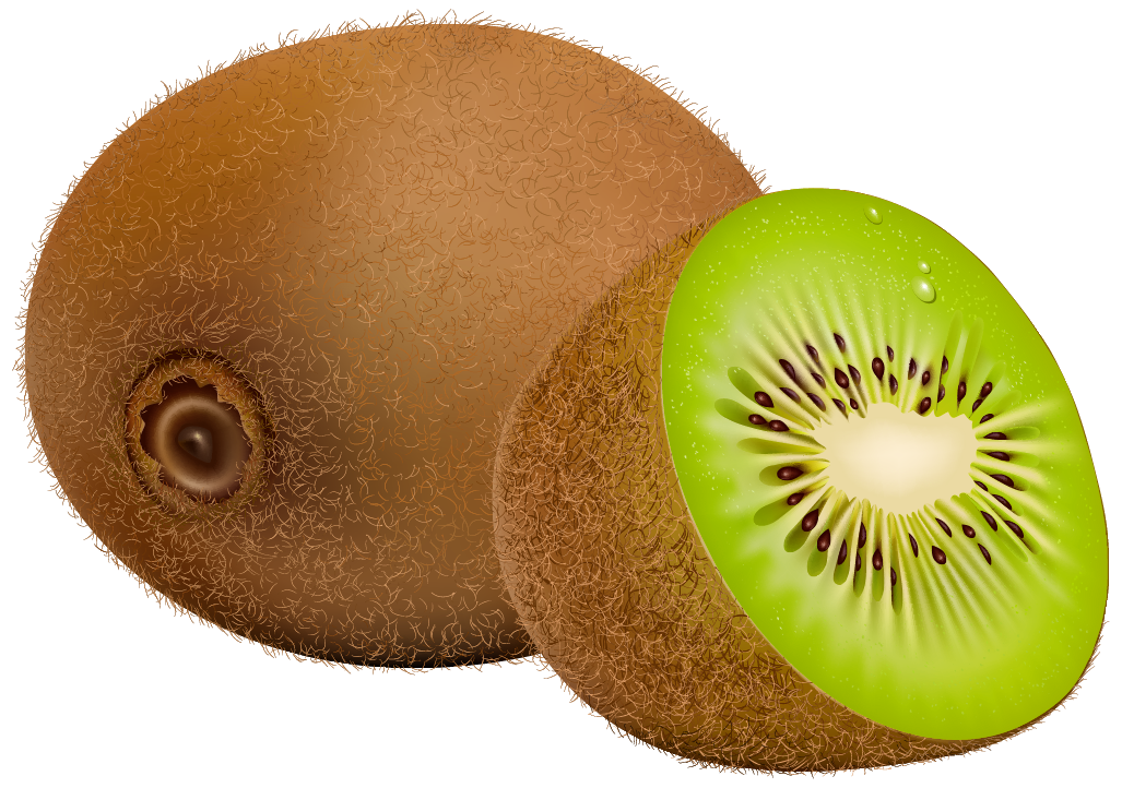 Kiwi Fruit PNG Clipart - Best WEB Clipart