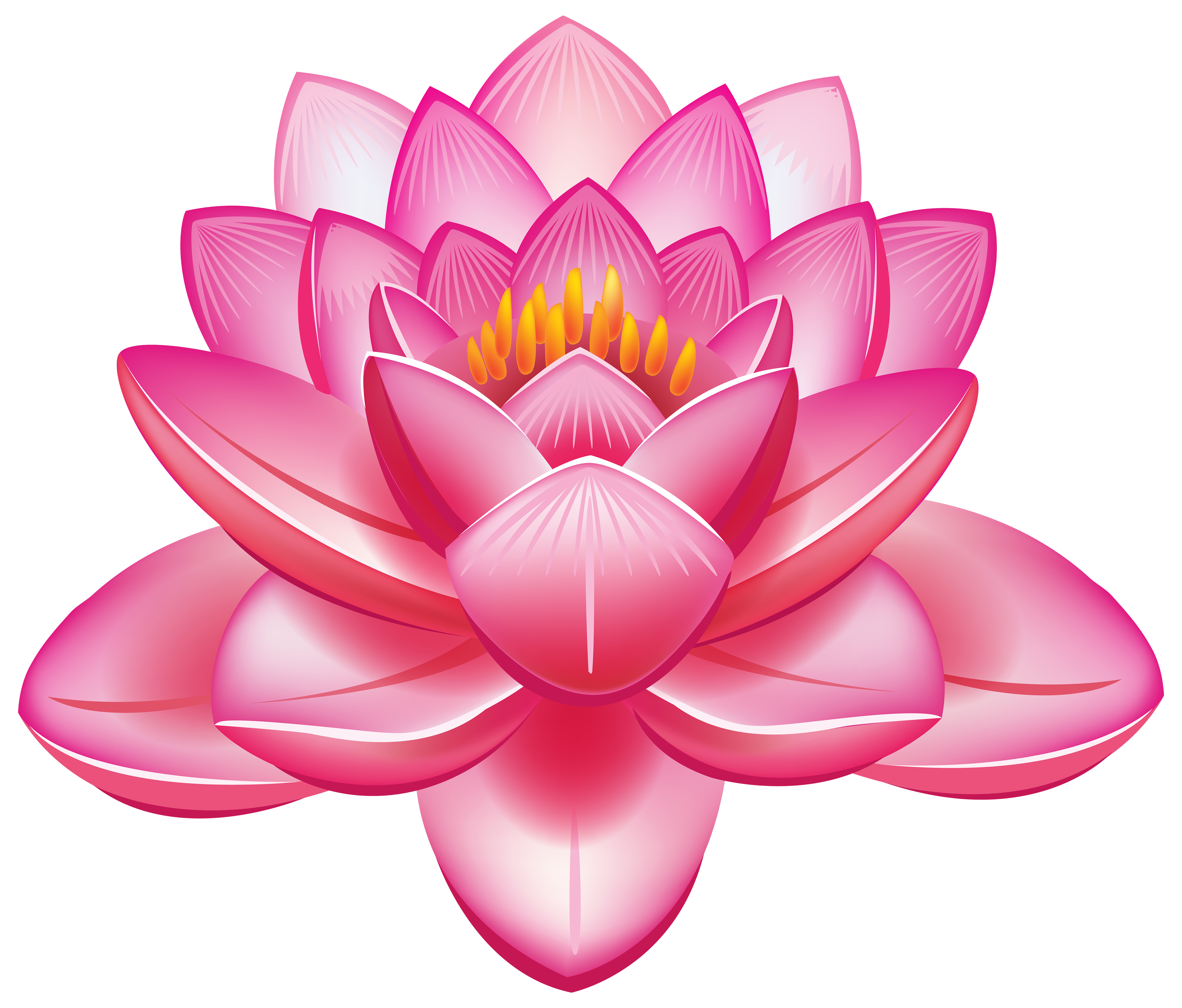 Lotus Flower PNG Clipart Best WEB Clipart