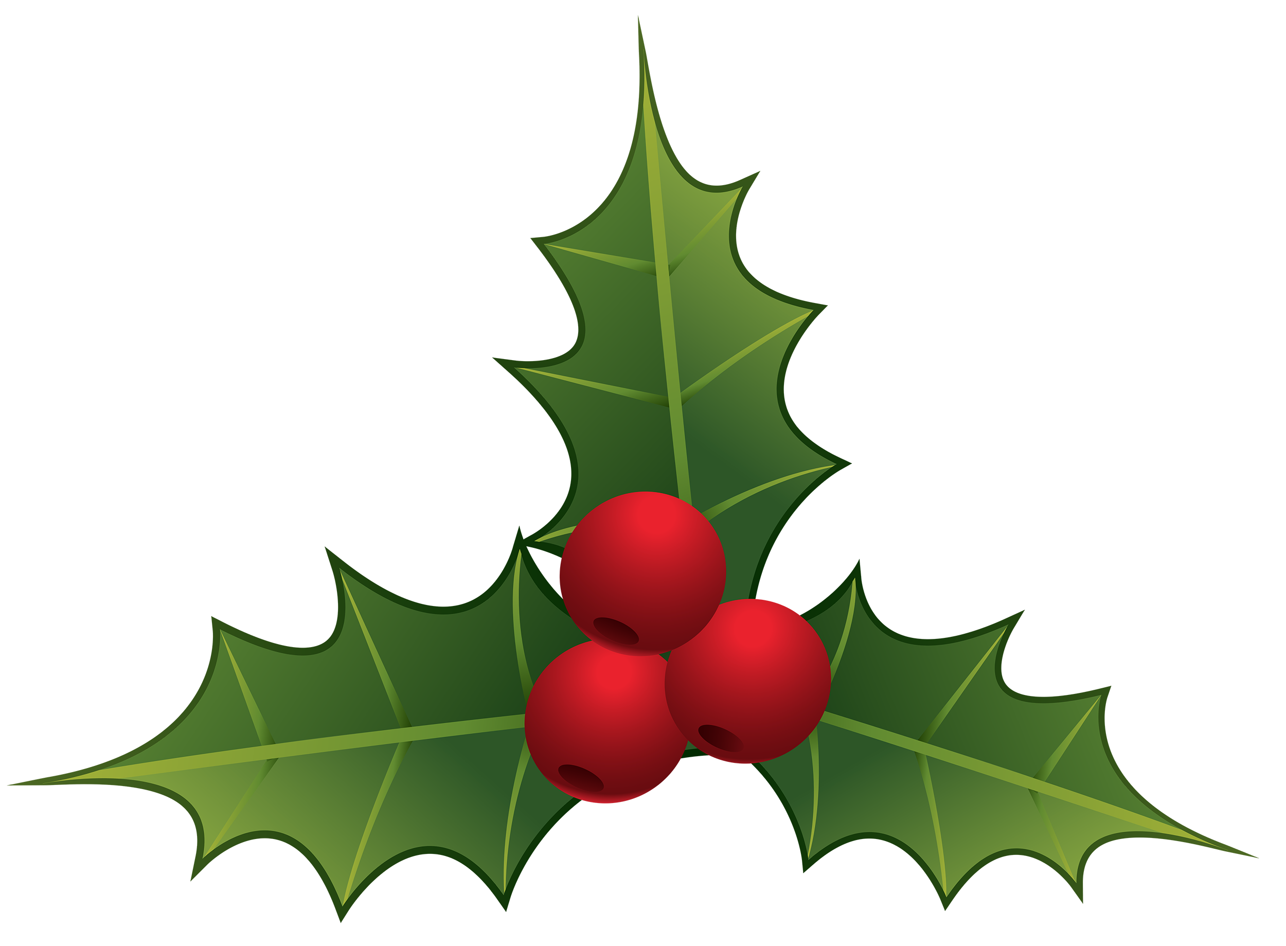 Mistletoe PNG Clipart - Best WEB Clipart