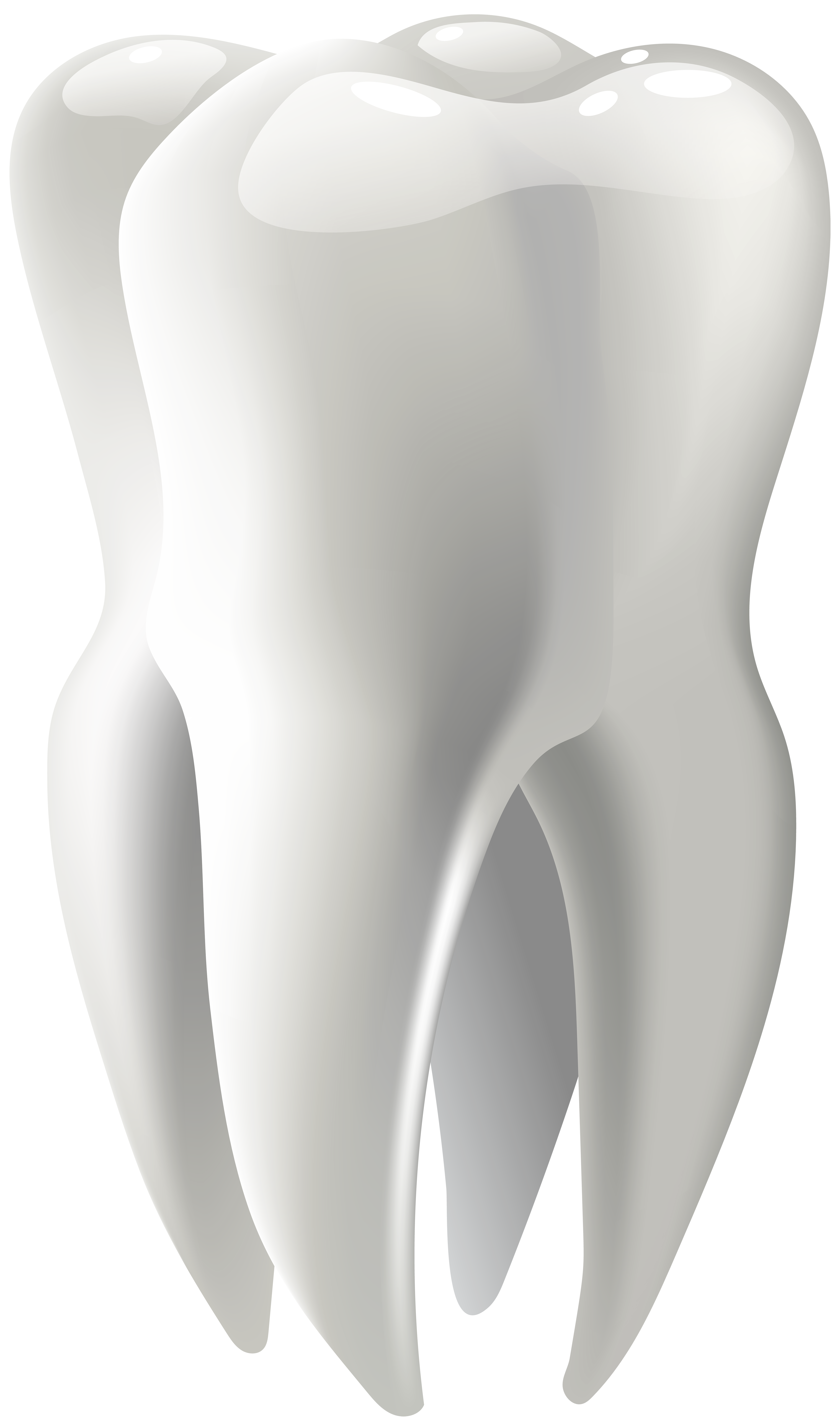 Molar Png Clip Art Best Web Clipart