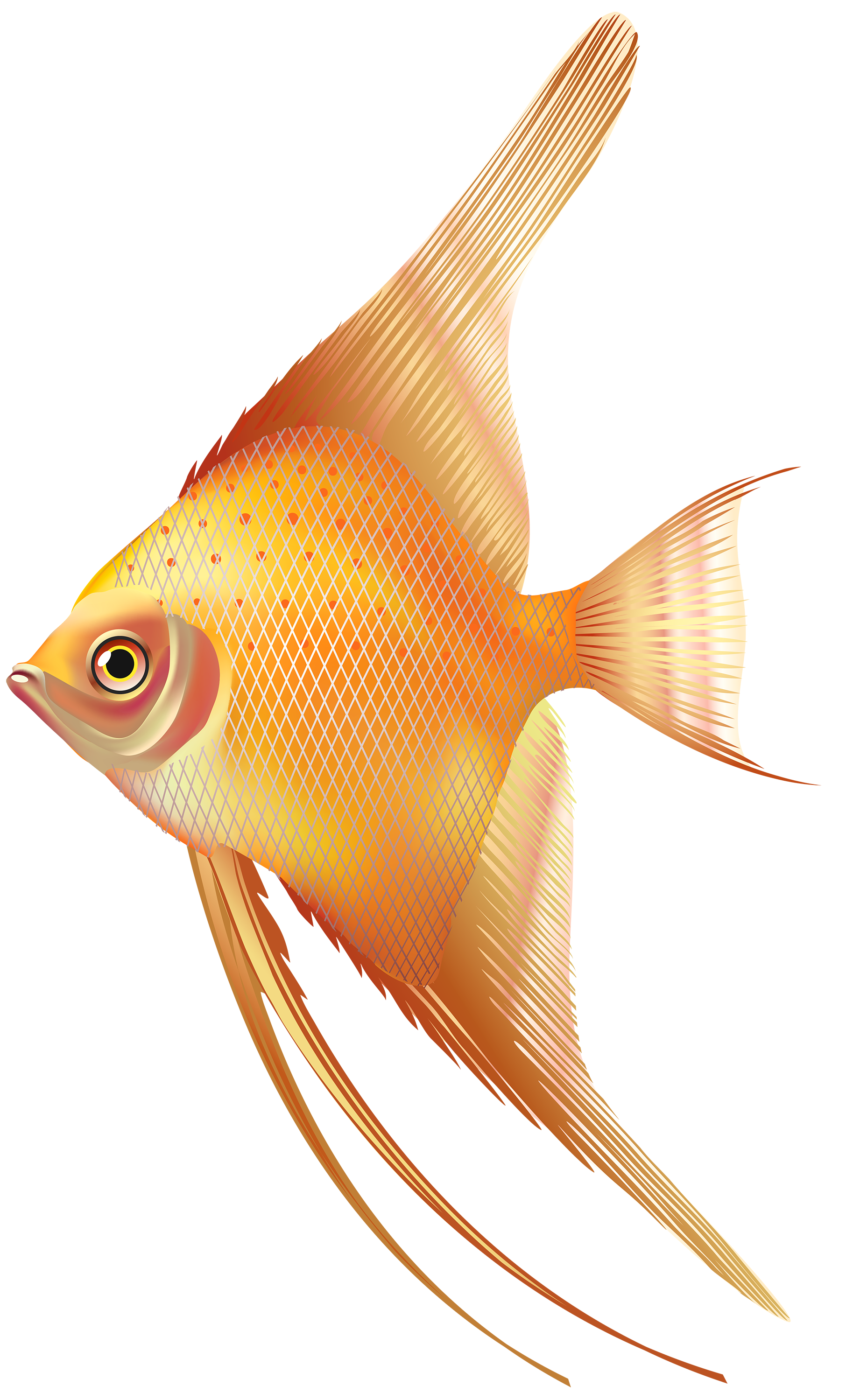 Nice Exotic Fish PNG Clipart - Best WEB Clipart