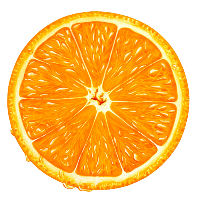 Orange Slice PNG Clipart - Best WEB Clipart