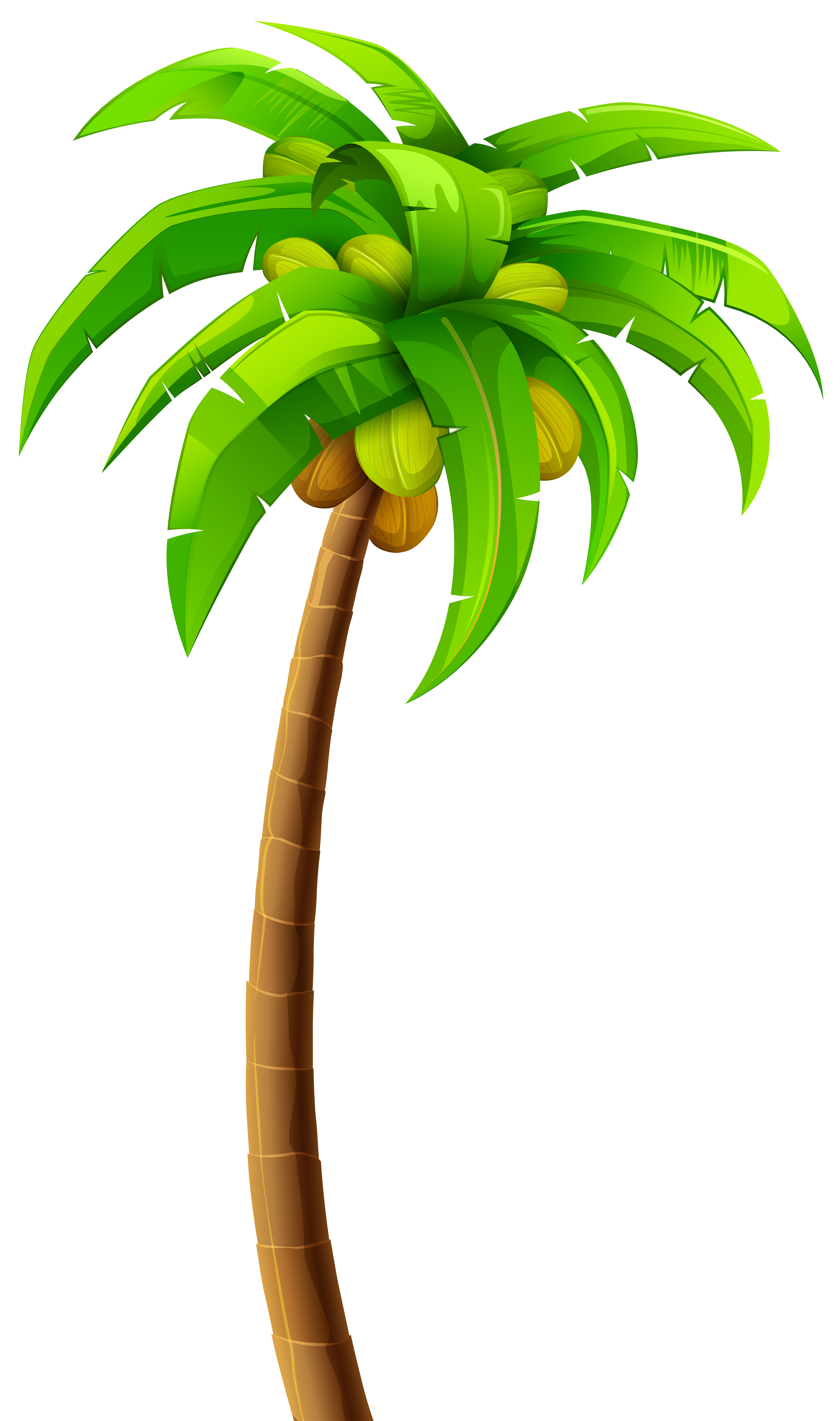 Palm PNG Clip Art - Best WEB Clipart