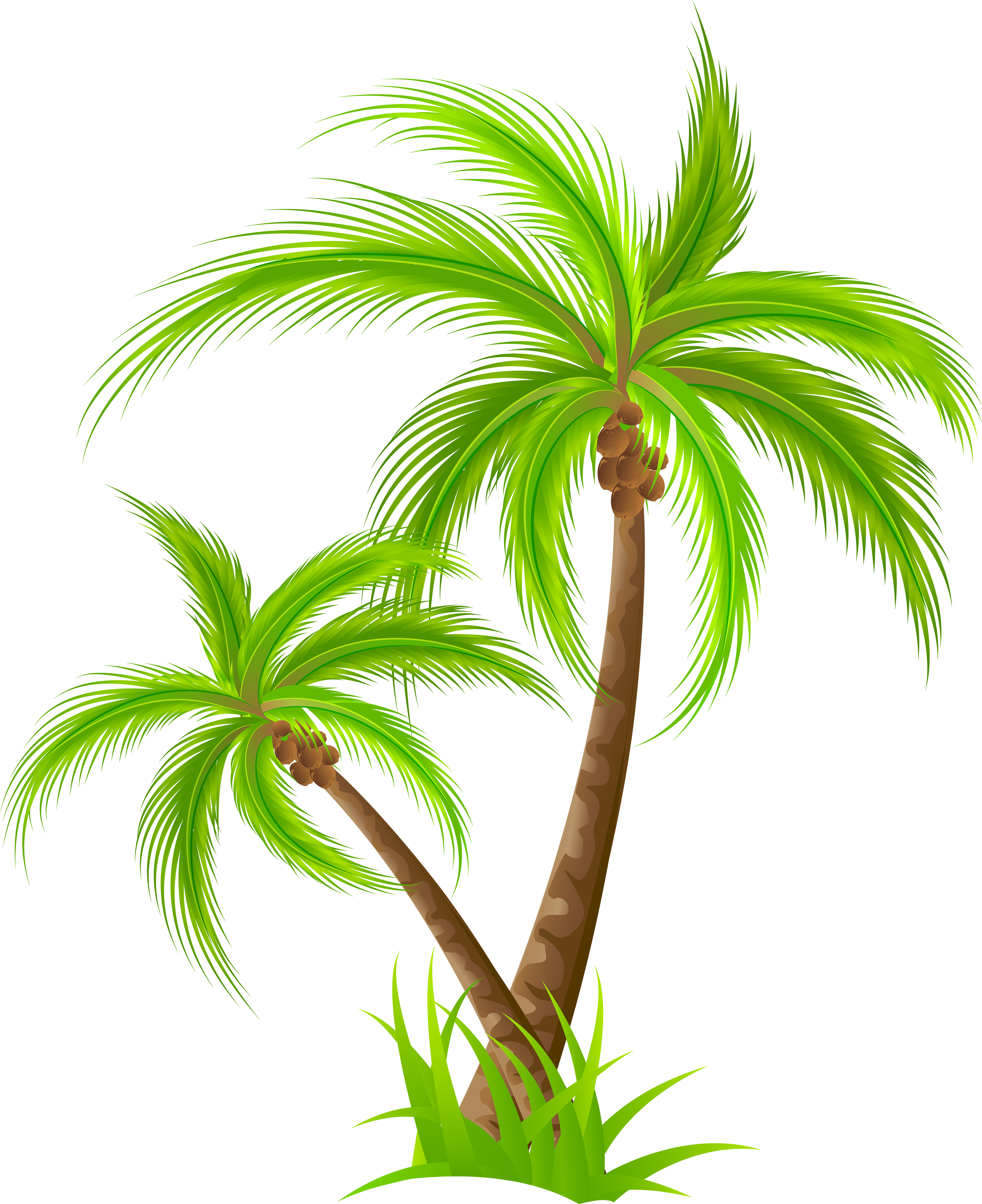 Palm PNG Clip Art - Best WEB Clipart