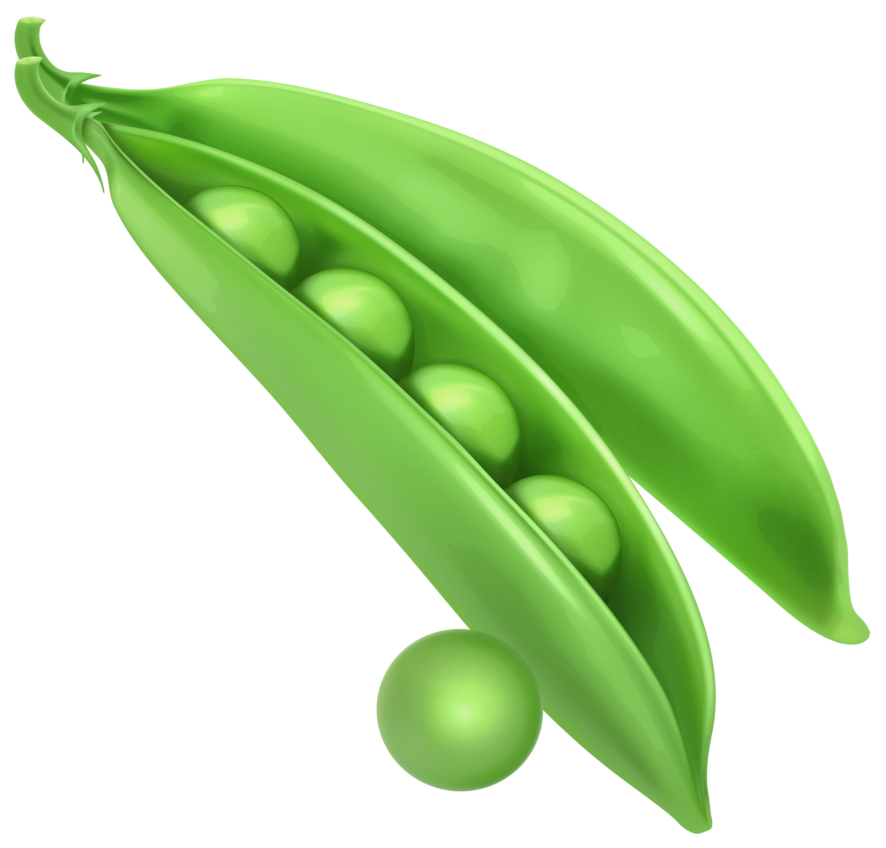 Peas PNG Clipart - Best WEB Clipart