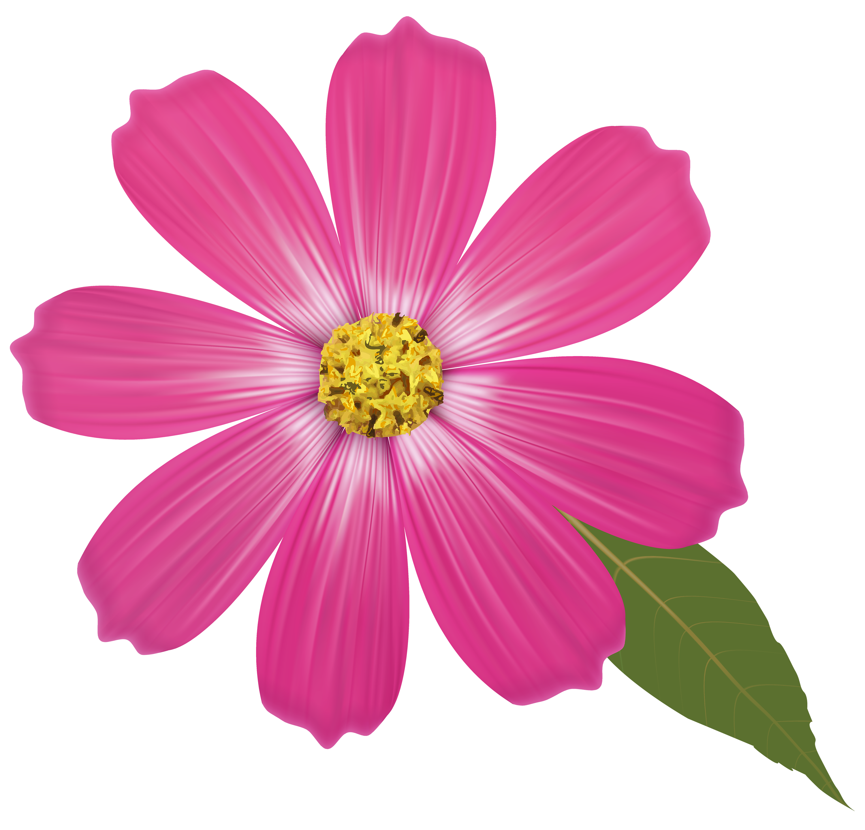 Pink Flower PNG Clipart - Best WEB Clipart