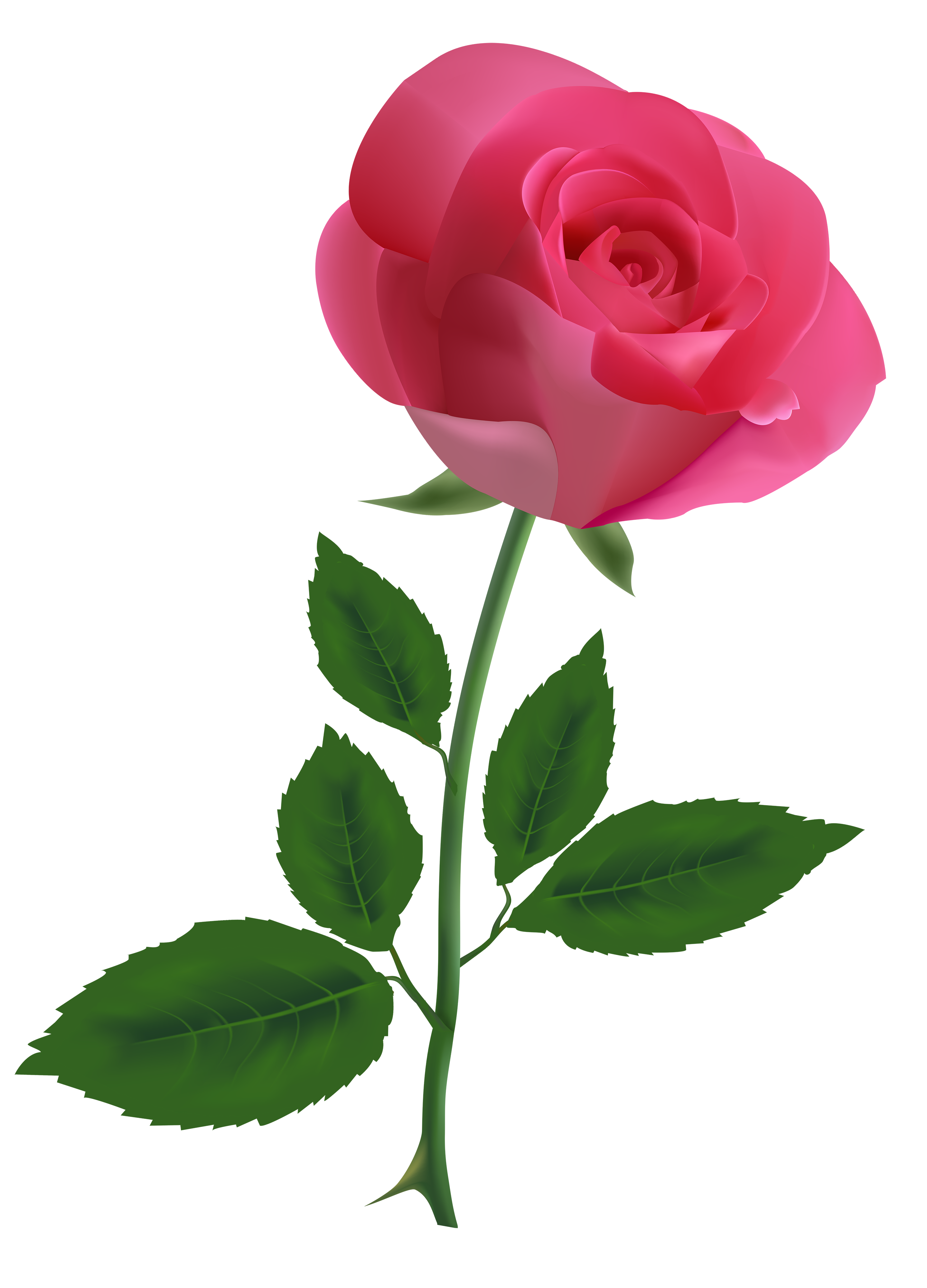 Pink Rose Clipart PNG Image - Best WEB Clipart