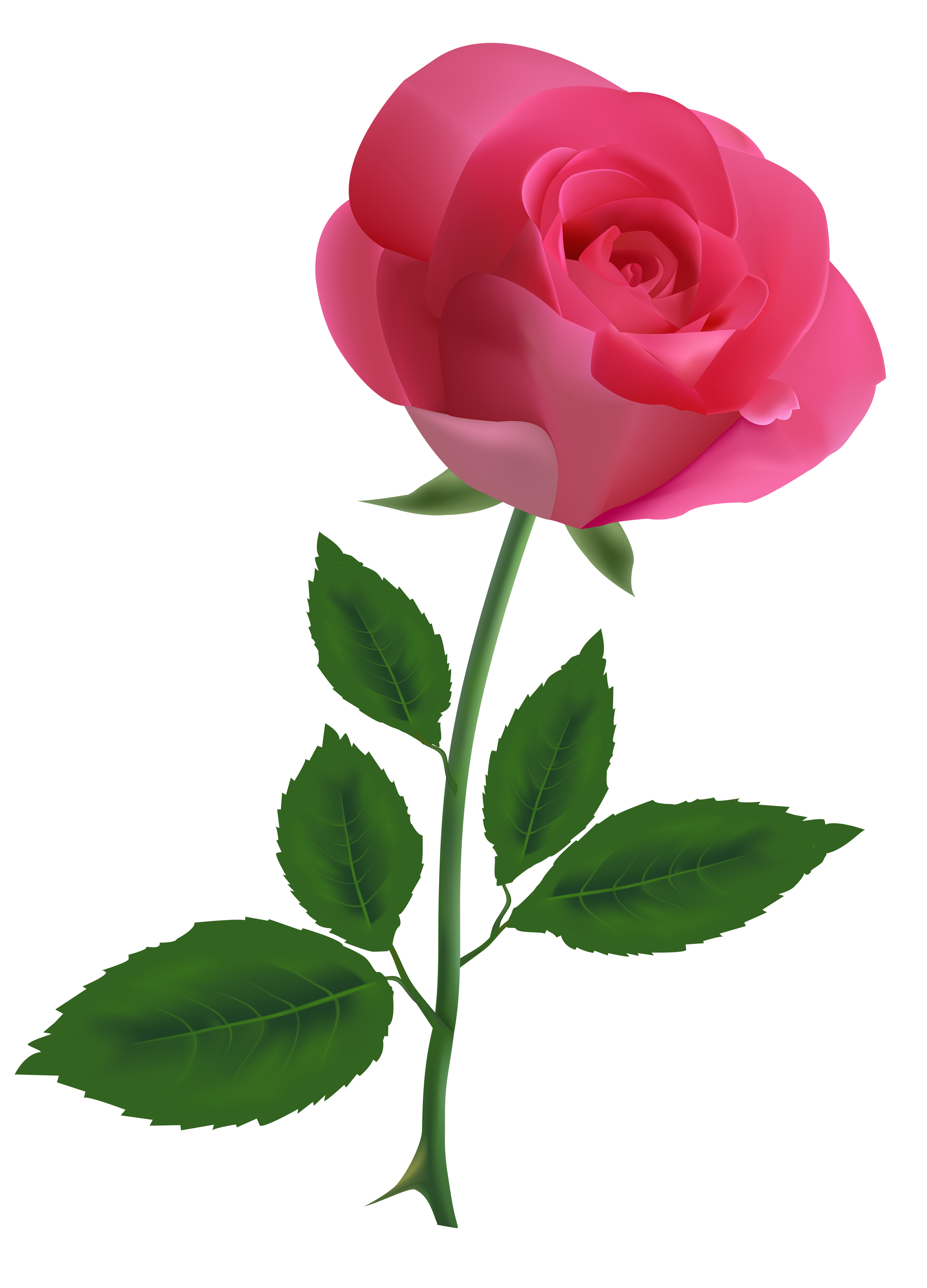 Pink Rose Clipart PNG Image  Best WEB Clipart