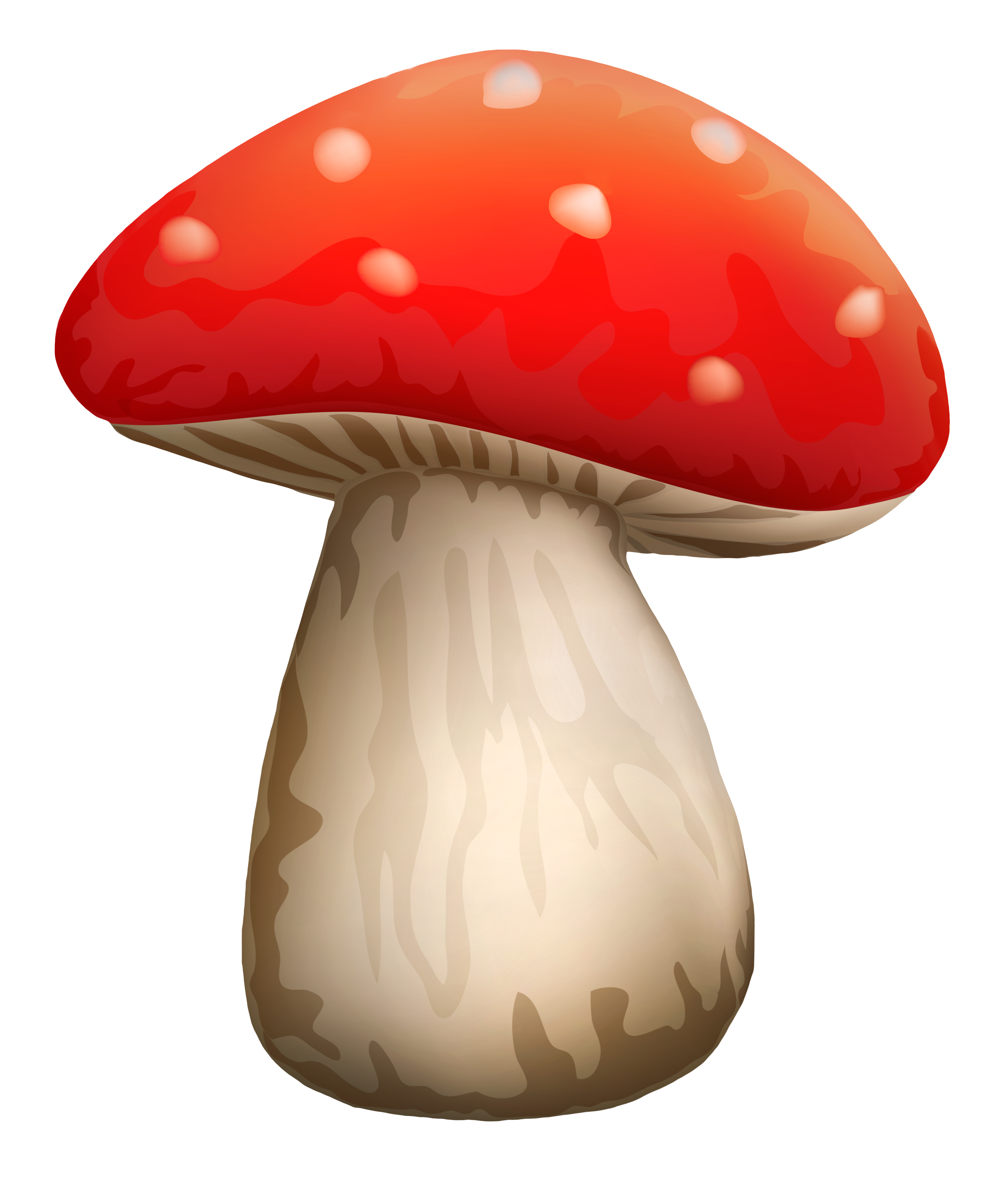 Poisonous Red Mushroom With White Dots PNG Clipart - Best WEB Clipart