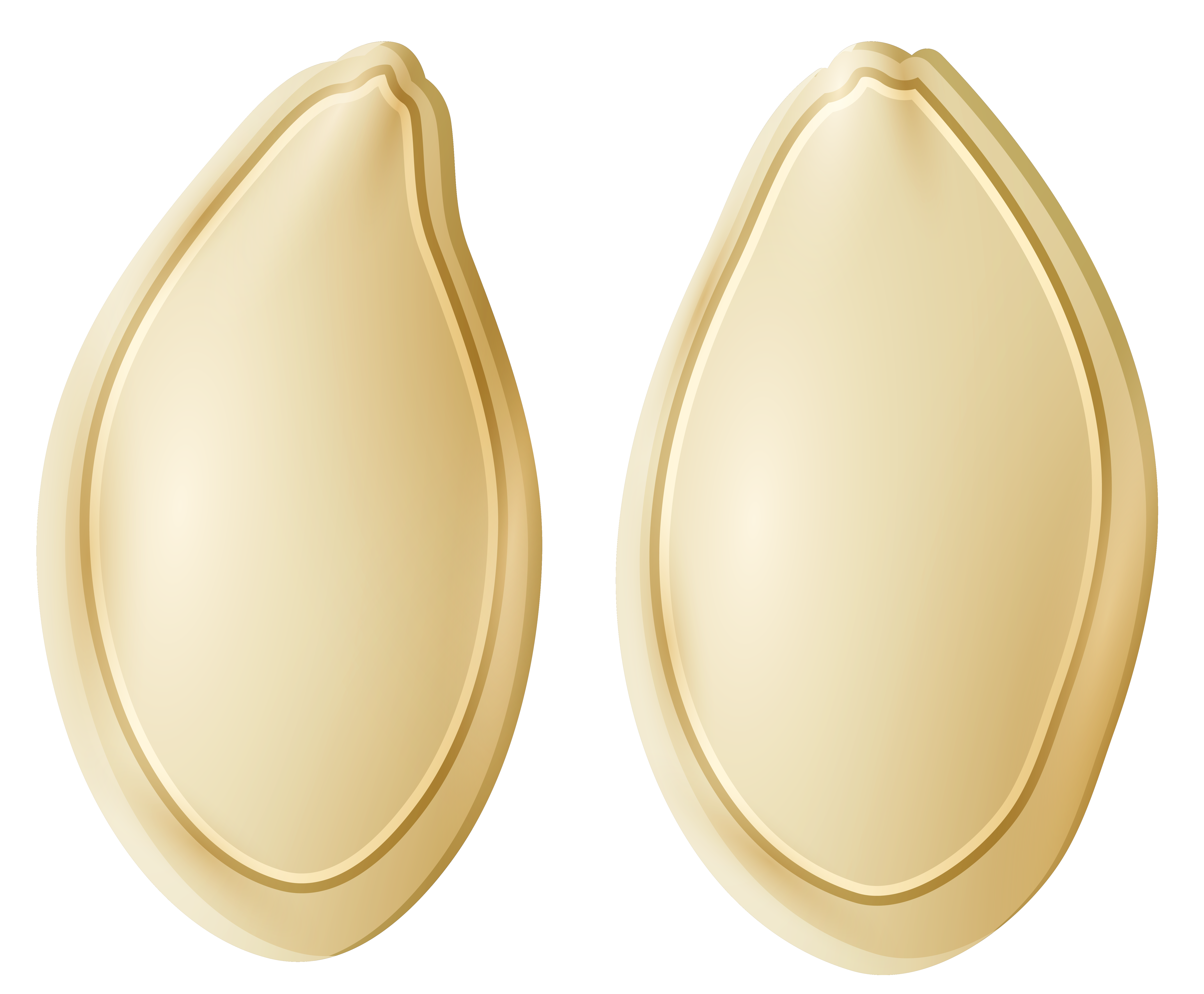 Pumpkin Seeds PNG Clip Art - Best WEB Clipart