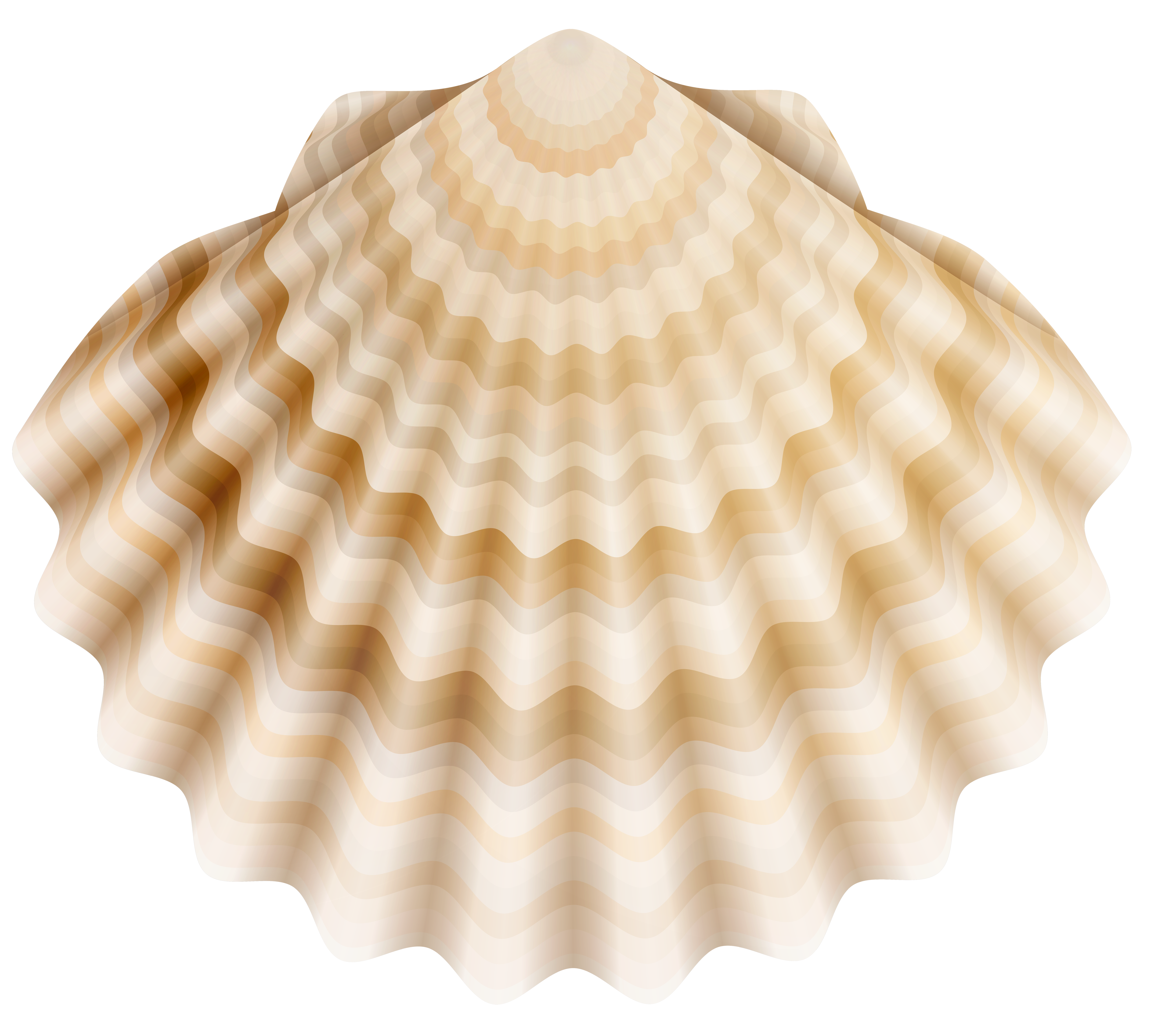 Realistic Shell PNG Clip Art - Best WEB Clipart