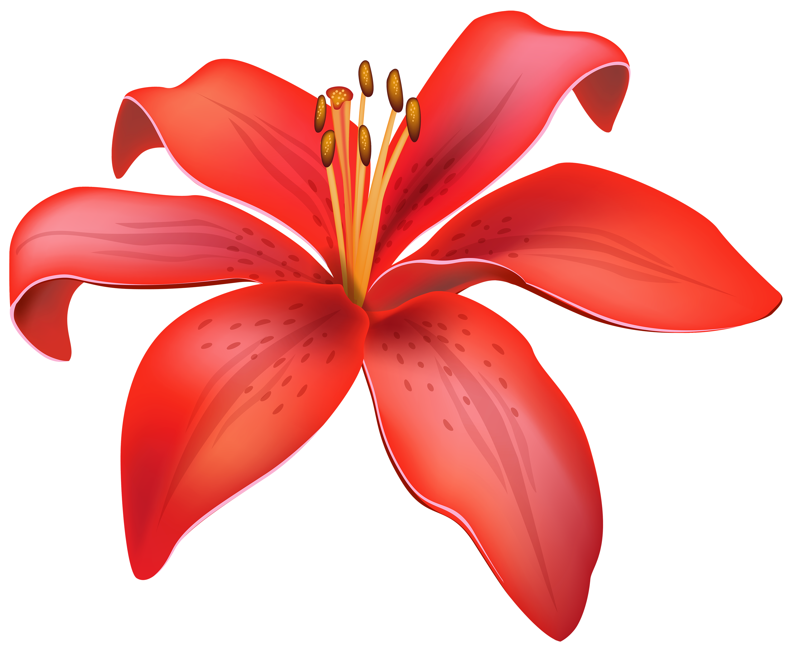 Red Lily Flower PNG Clipart - Best WEB Clipart