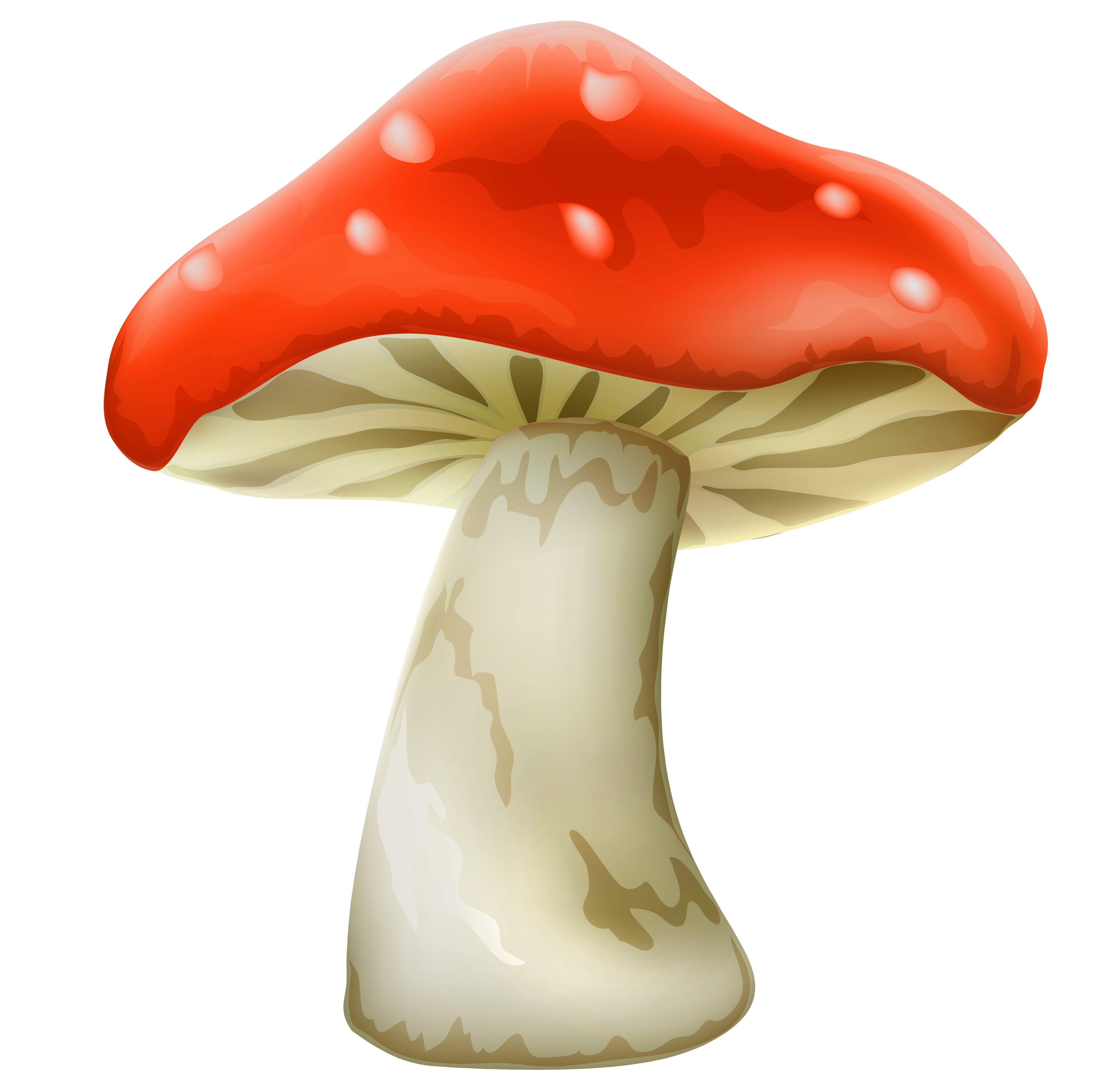 Red Mushroom With White Dots PNG Clipart - Best WEB Clipart