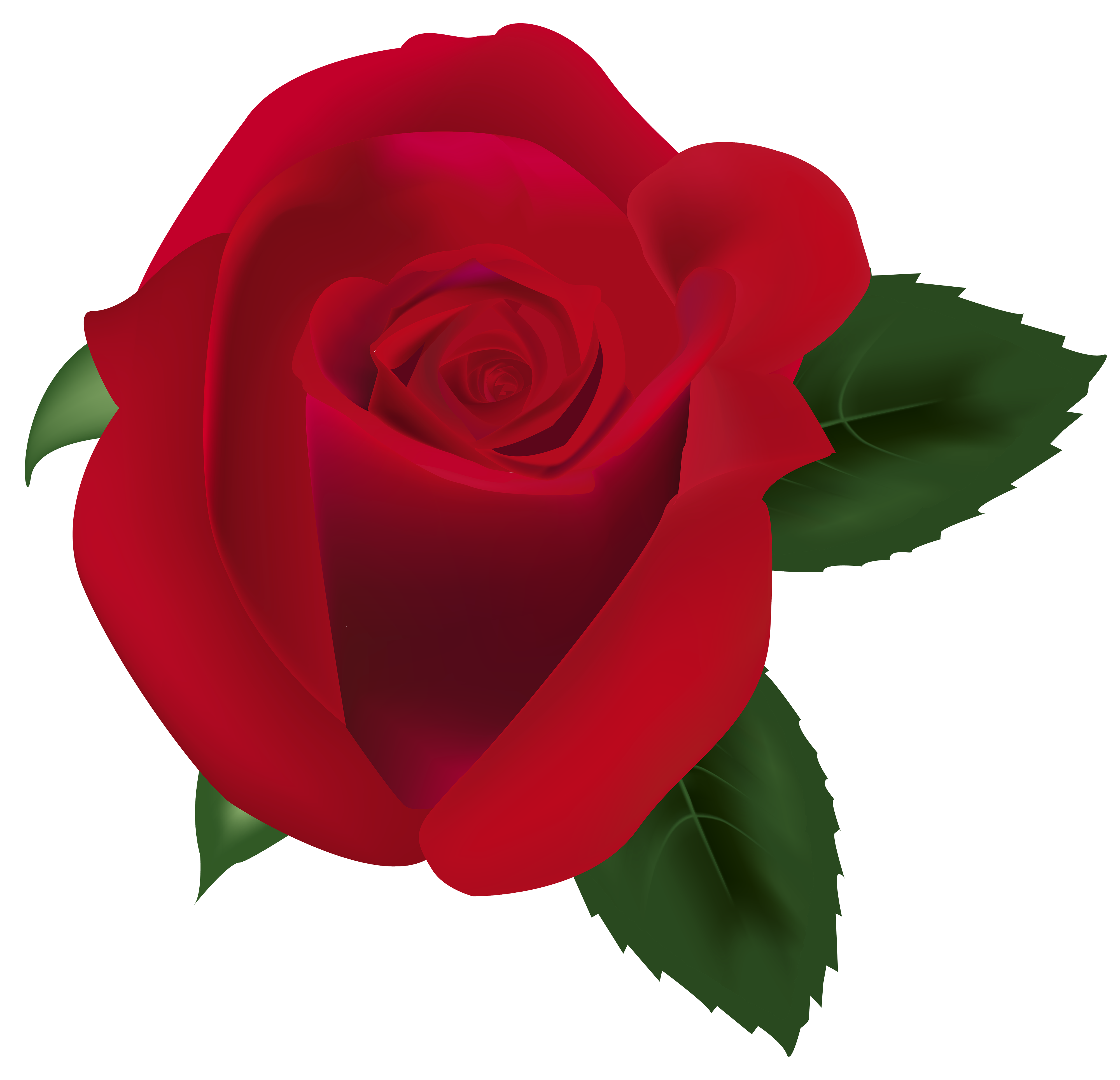 Red Rose PNG Clipart Image - Best WEB Clipart