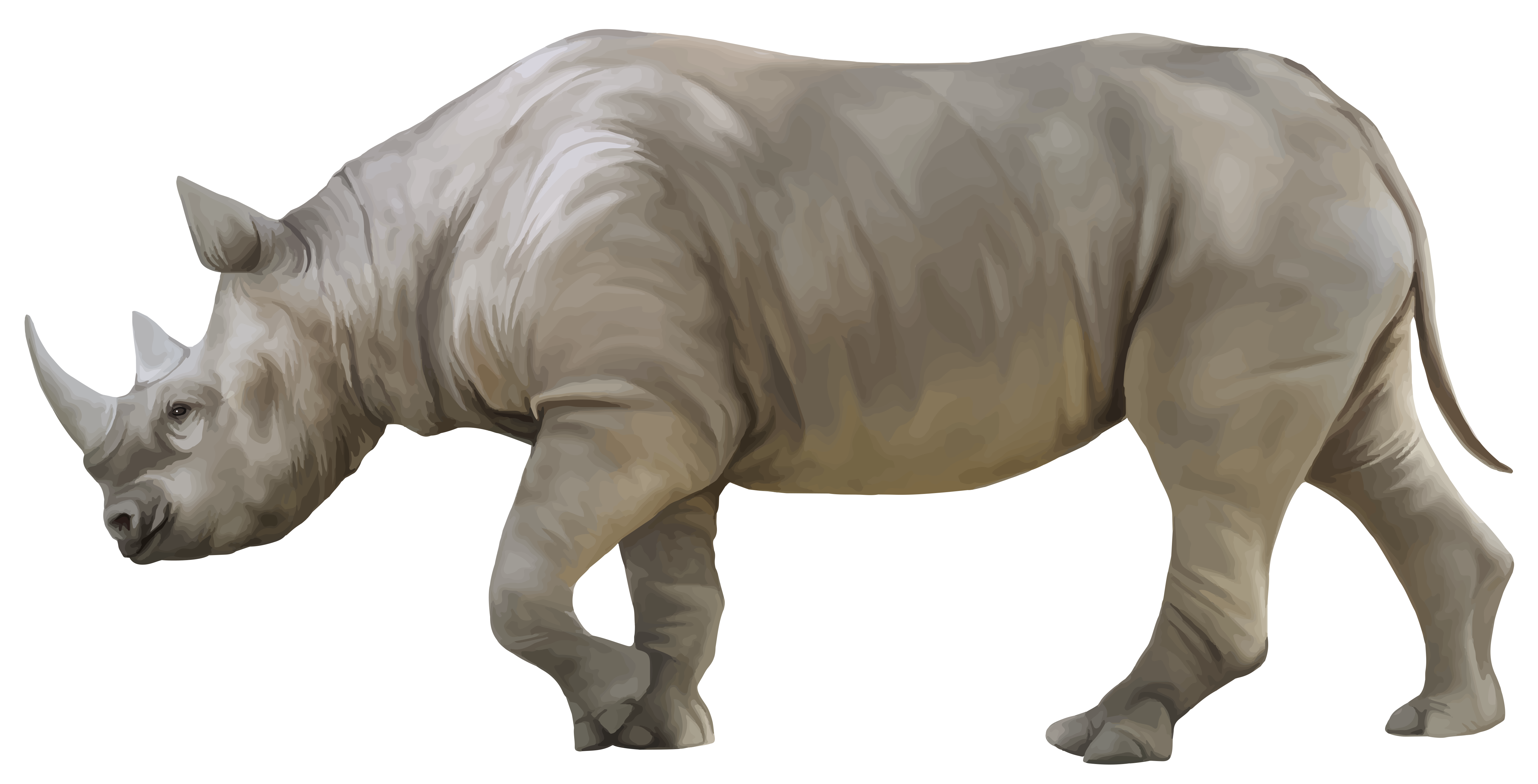 Rhino PNG Clipart - Best WEB Clipart