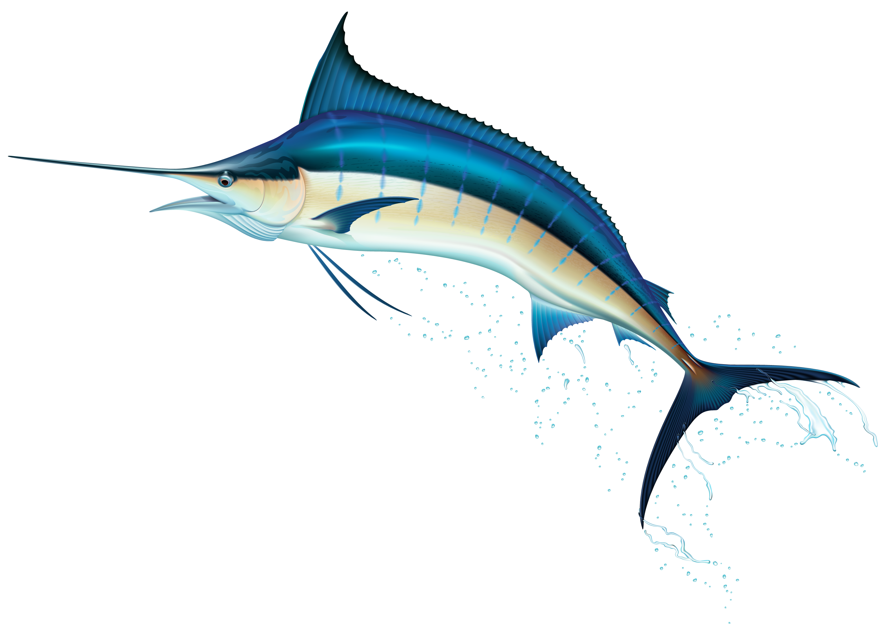 Swordfish PNG Clip Art - Best WEB Clipart