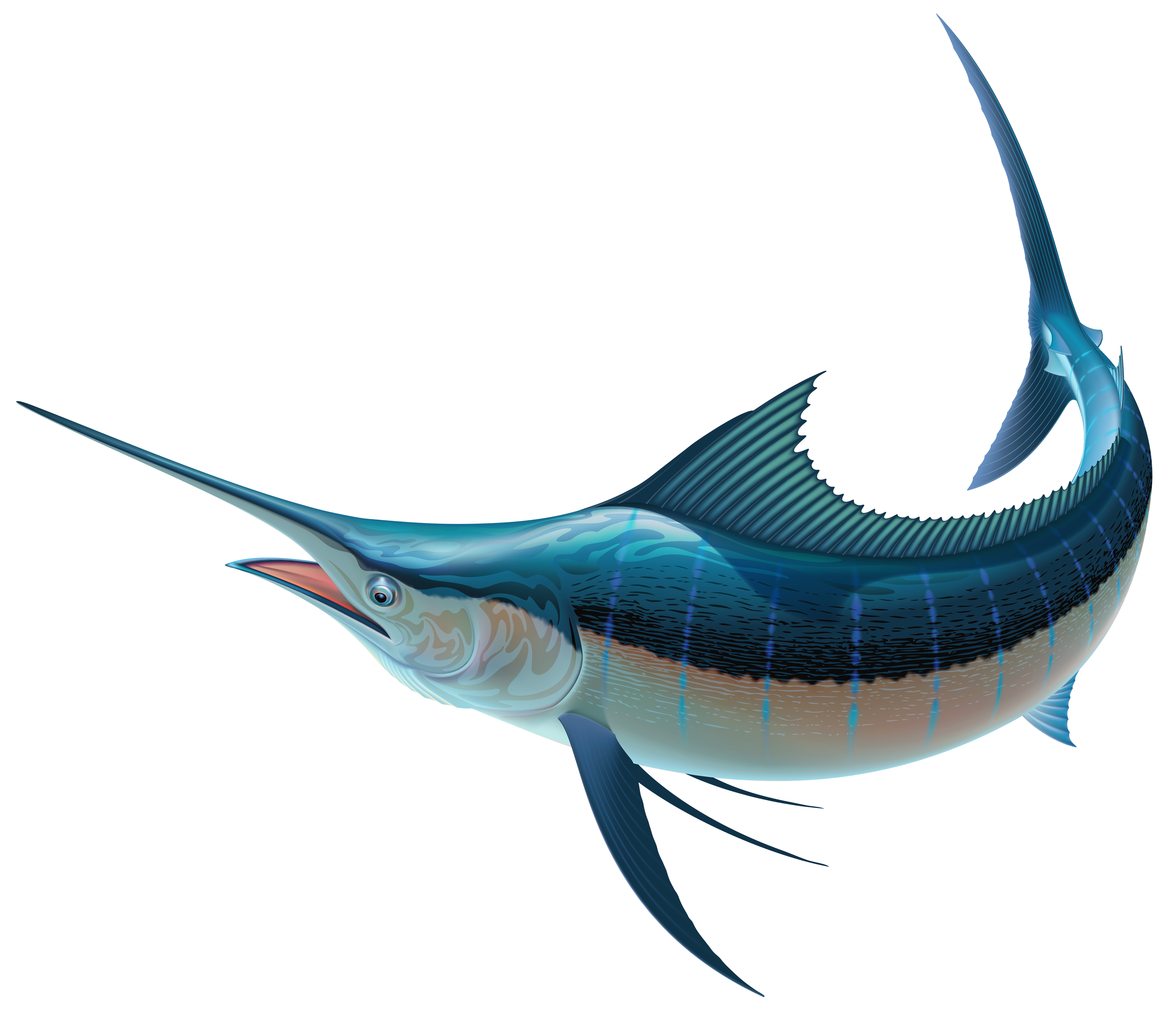 Swordfish PNG Clipart - Best WEB Clipart