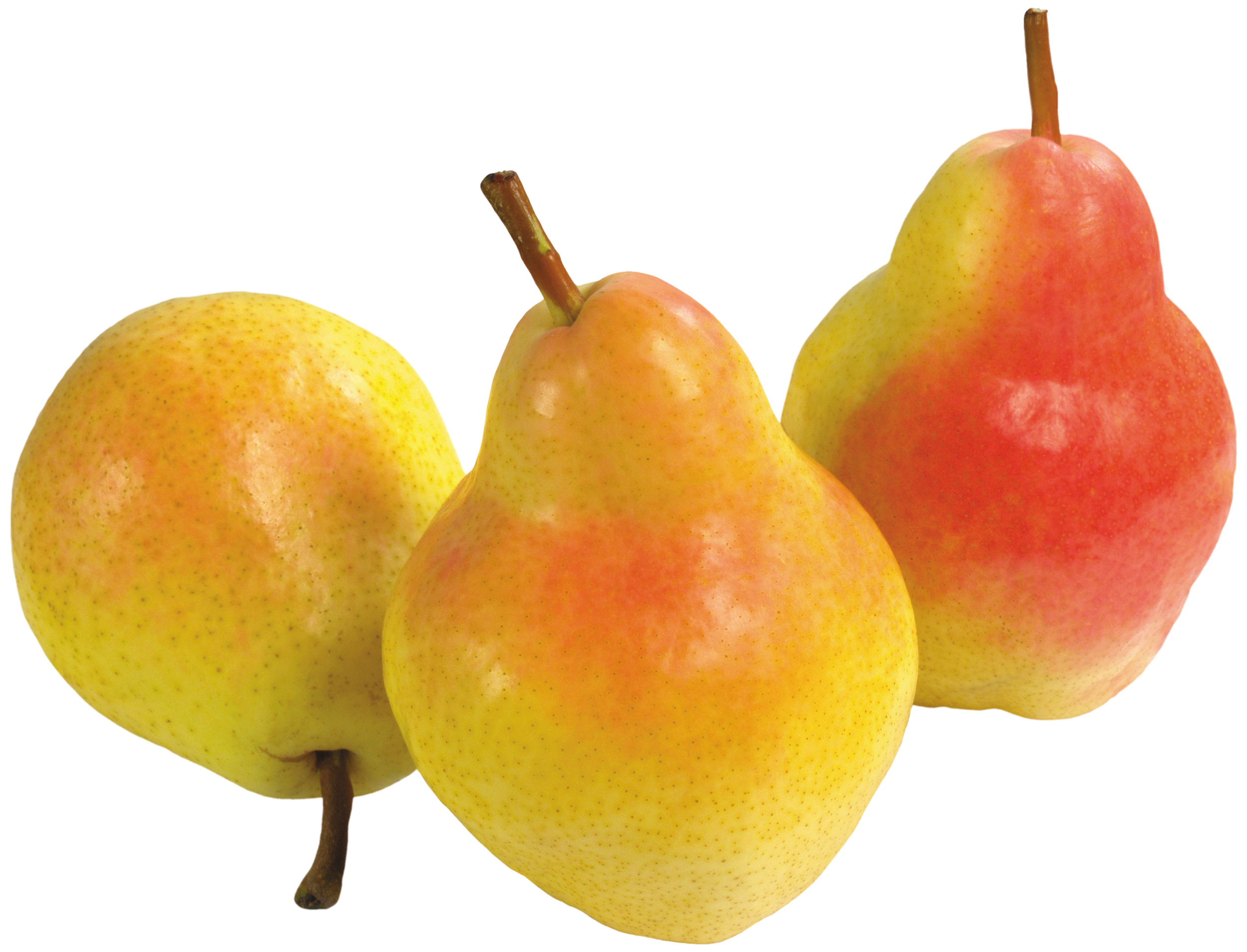 Three Pears PNG Clipart - Best WEB Clipart