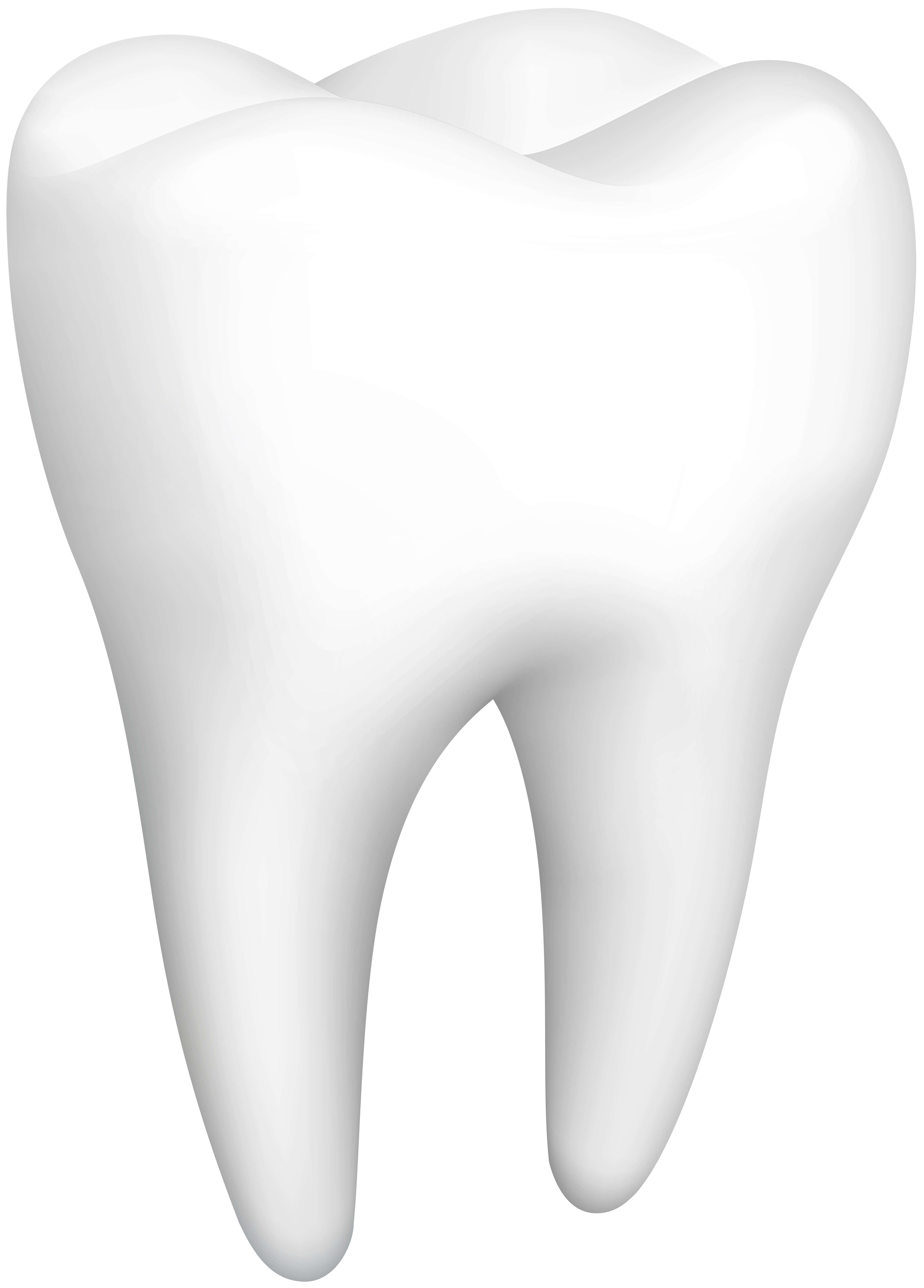 Tooth Png Clip Art Best Web Clipart