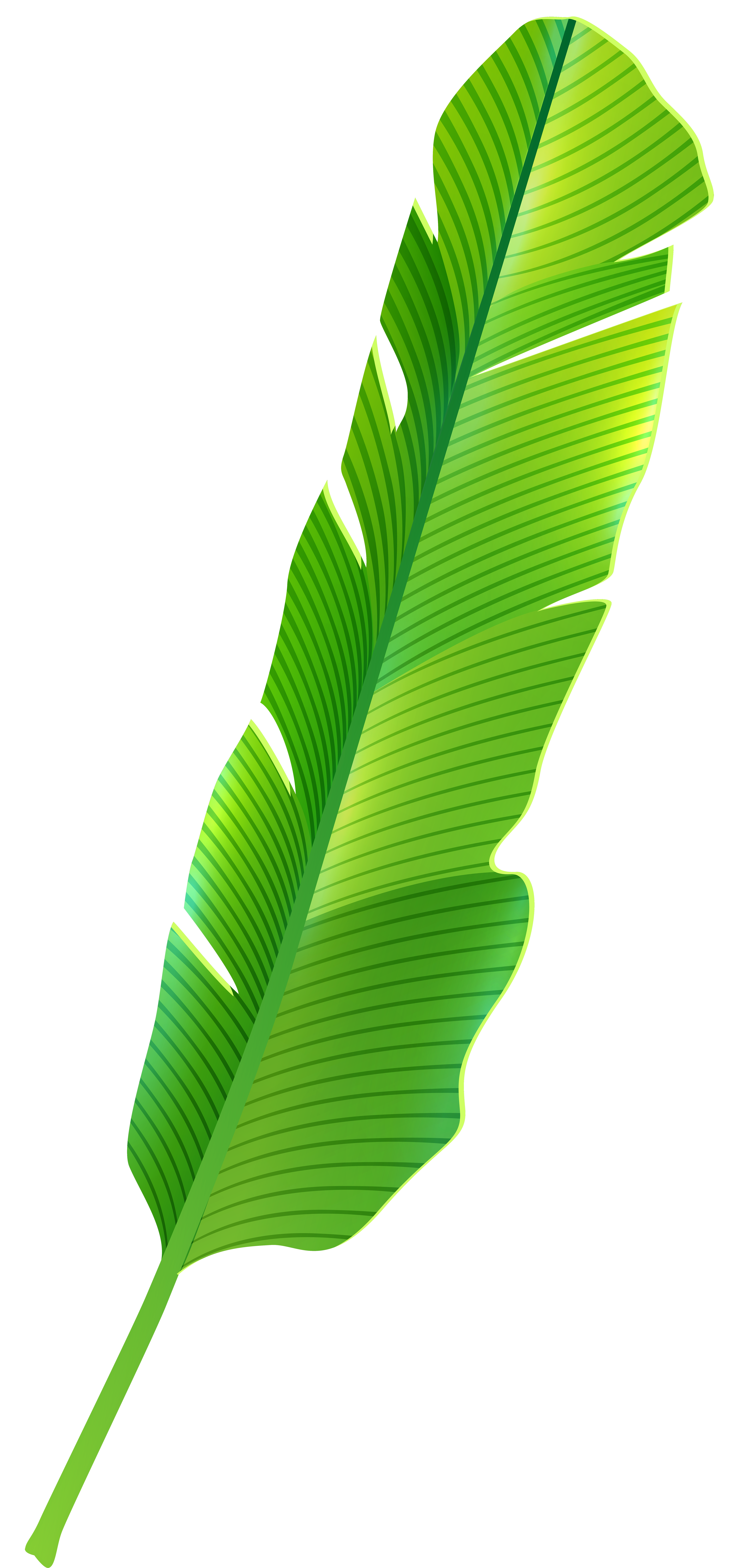 Tropical Leaf PNG Clip Art - Best WEB Clipart