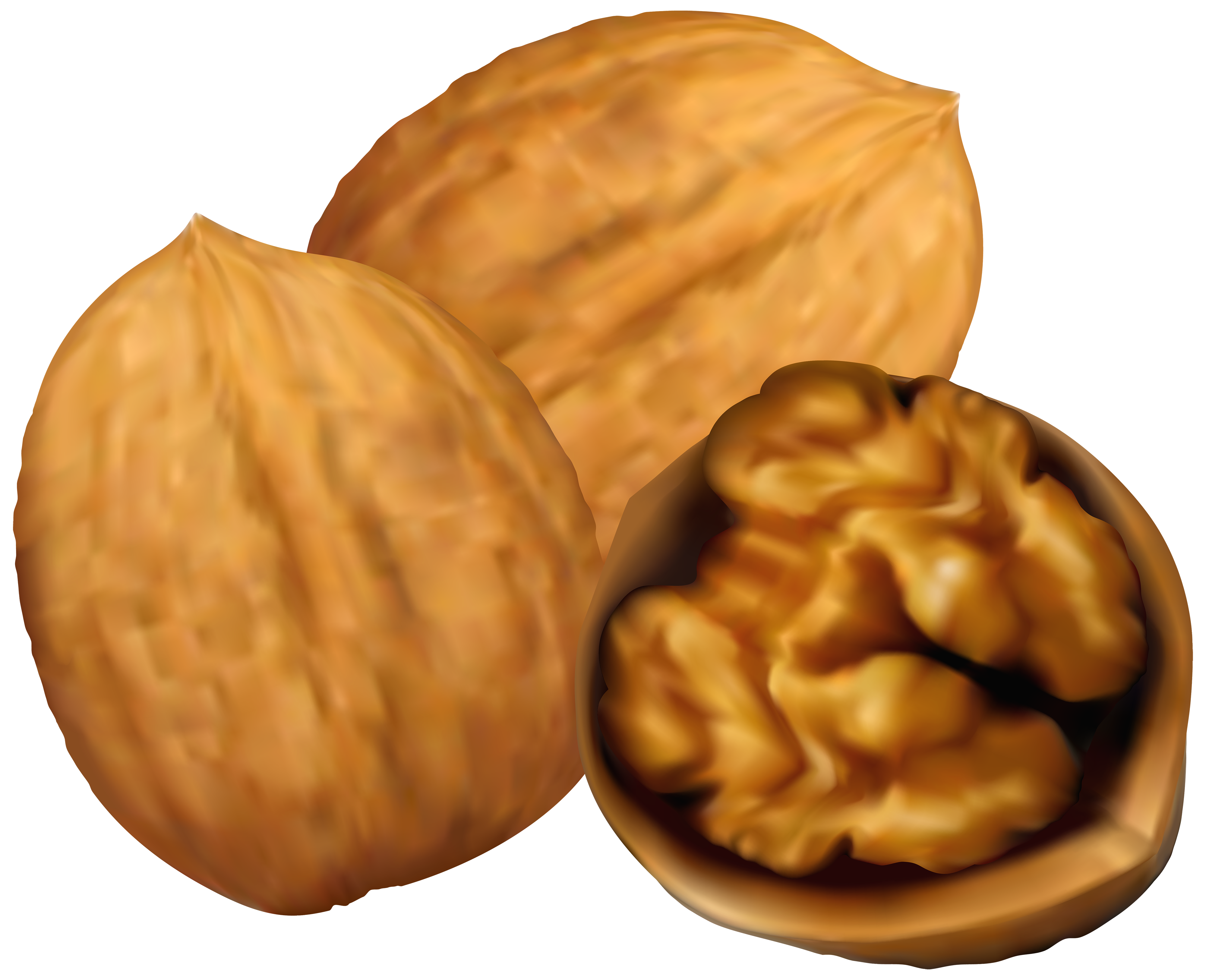 Walnuts PNG Clip Art - Best WEB Clipart