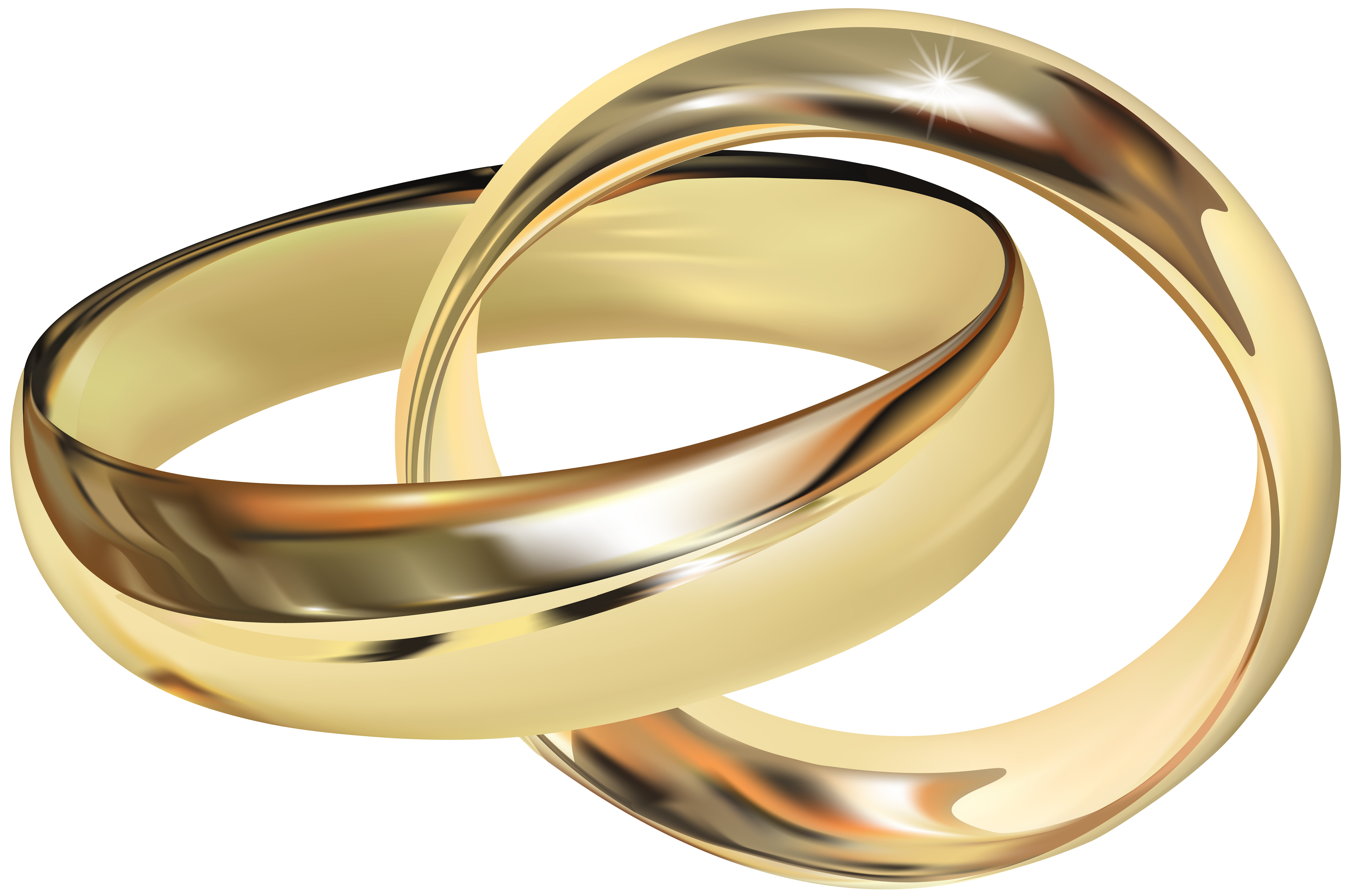  Wedding  Rings  PNG Clip Art  Best WEB Clipart 