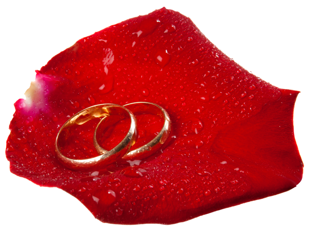 Wedding Rings in Rose Petal PNG Clip Art - Best WEB Clipart