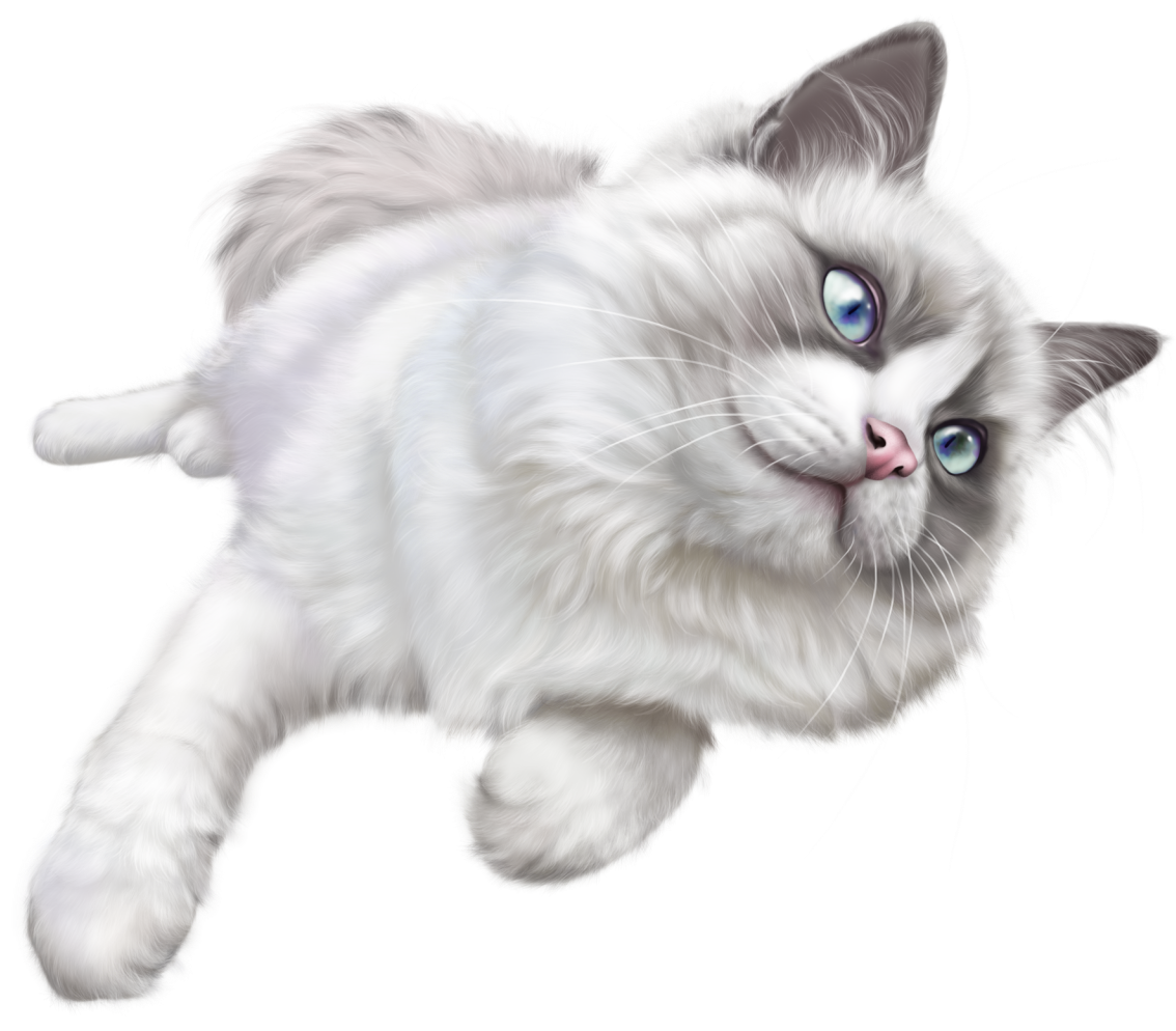 White Cat PNG Clip Art - Best WEB Clipart