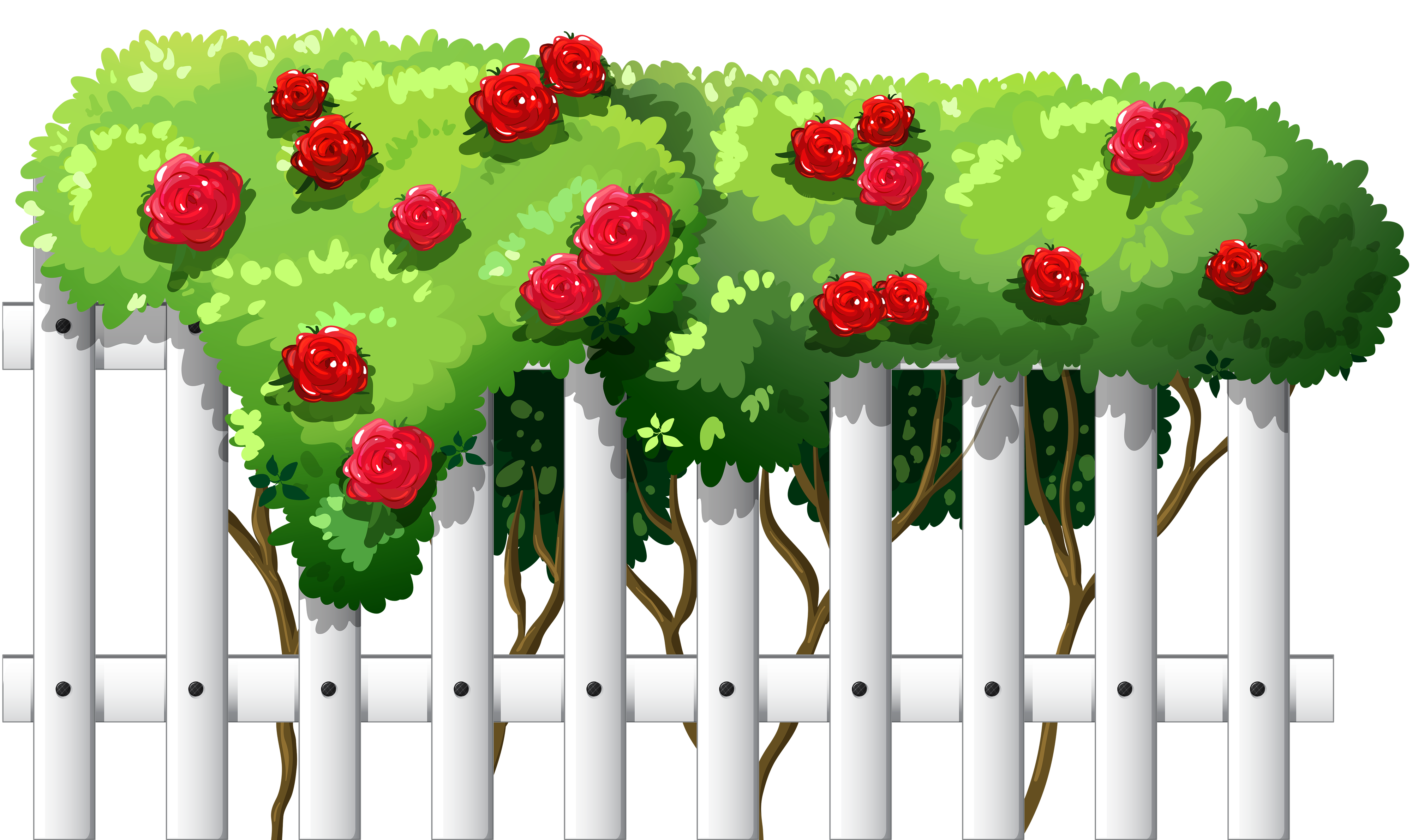 White Fence with Roses PNG Clipart - Best WEB Clipart