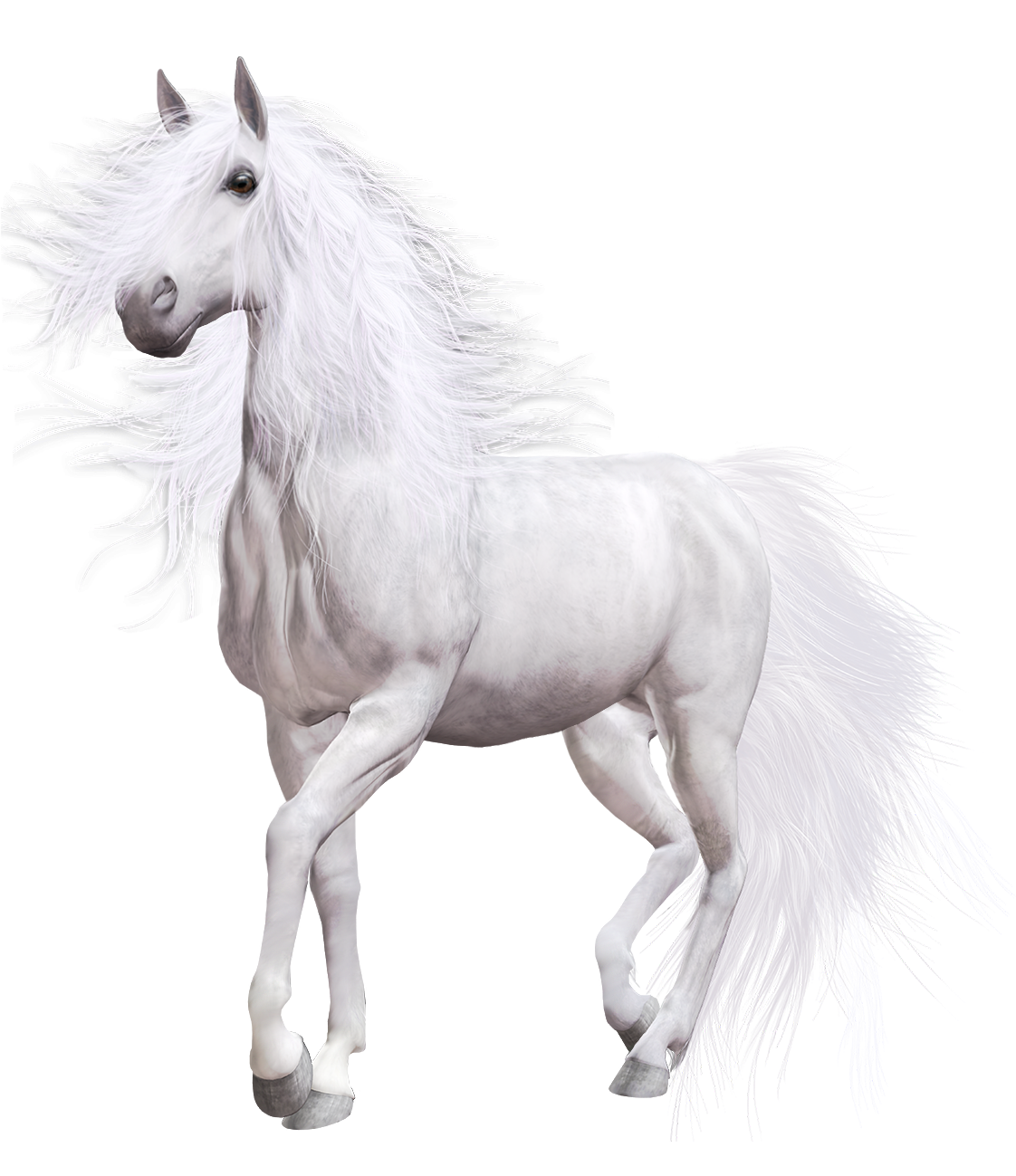 White Horse PNG Clip Art - Best WEB Clipart