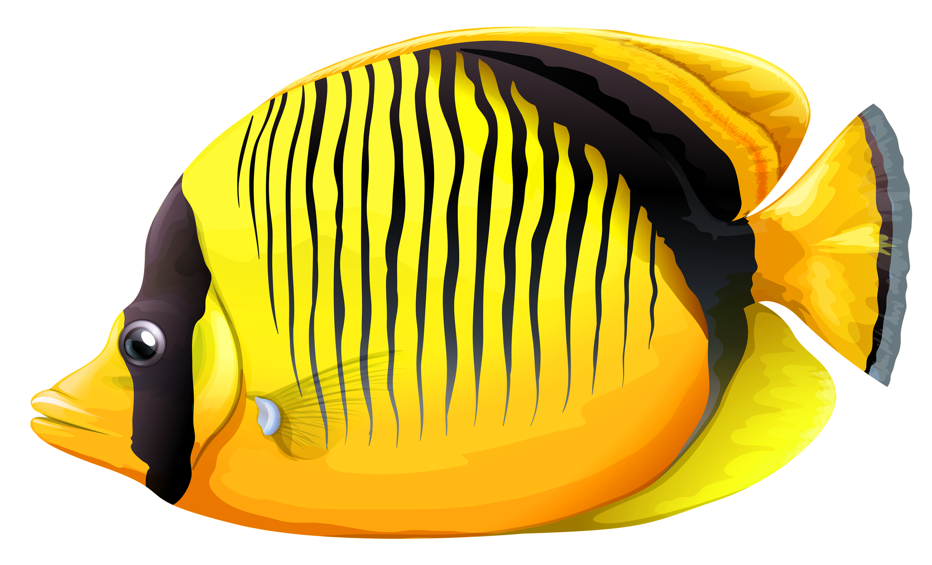 Yellow Butterfly Fish PNG Clipart - Best WEB Clipart