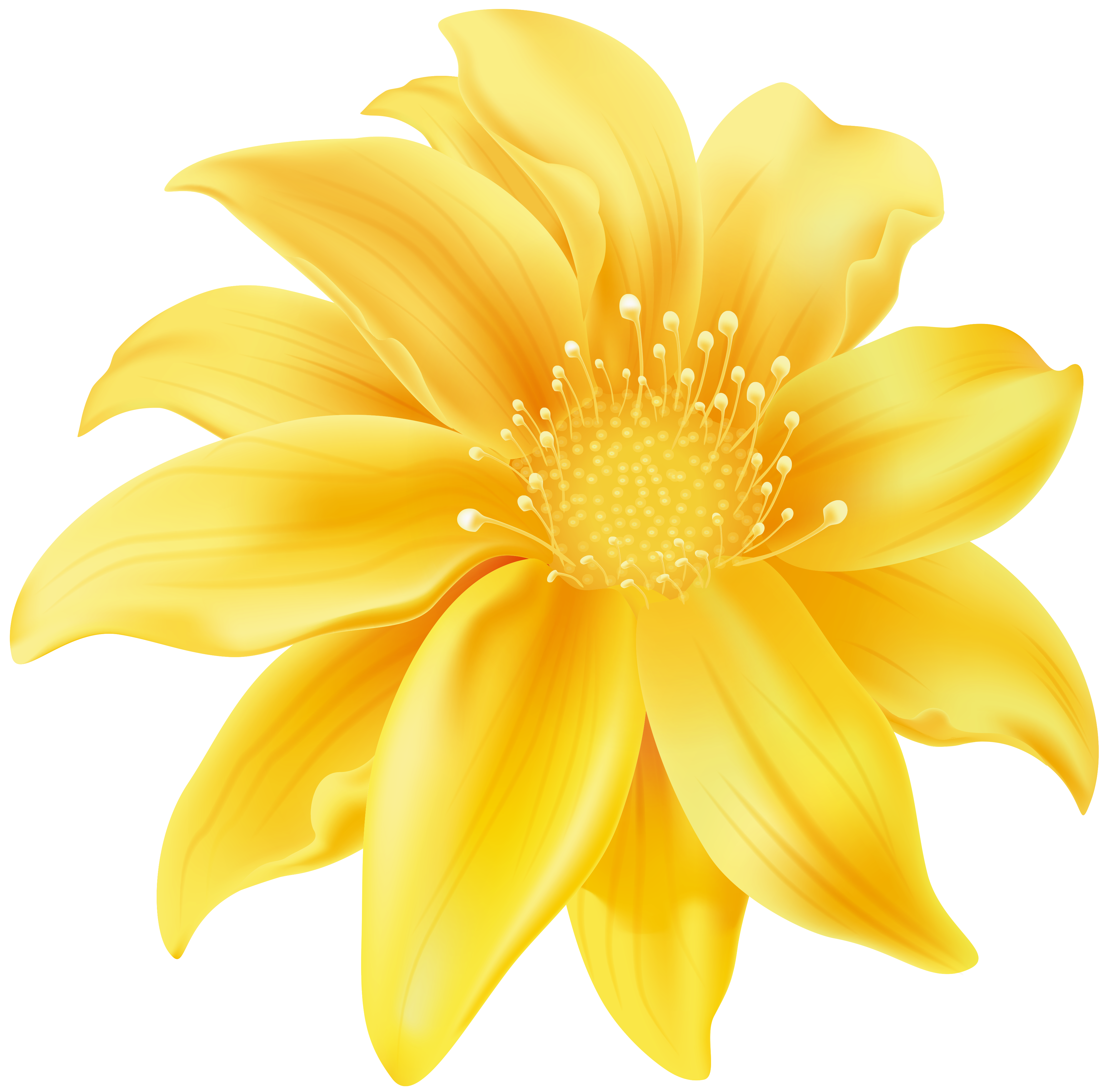 Download Yellow Flower PNG Clip Art - Best WEB Clipart