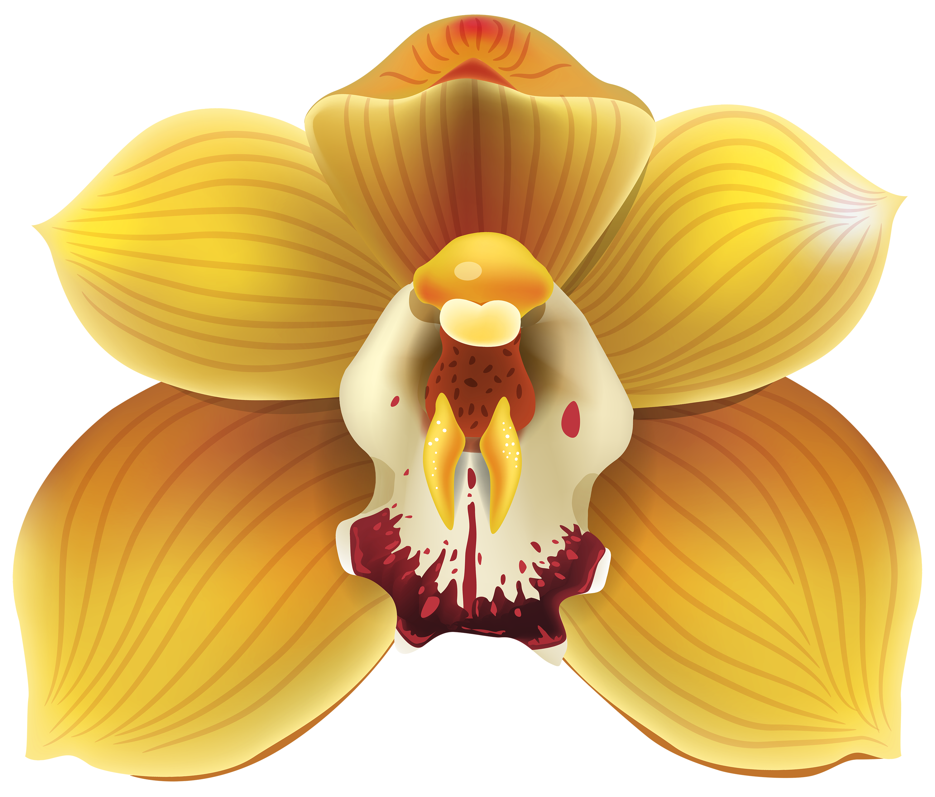 Yellow Orchid PNG Clipart - Best WEB Clipart