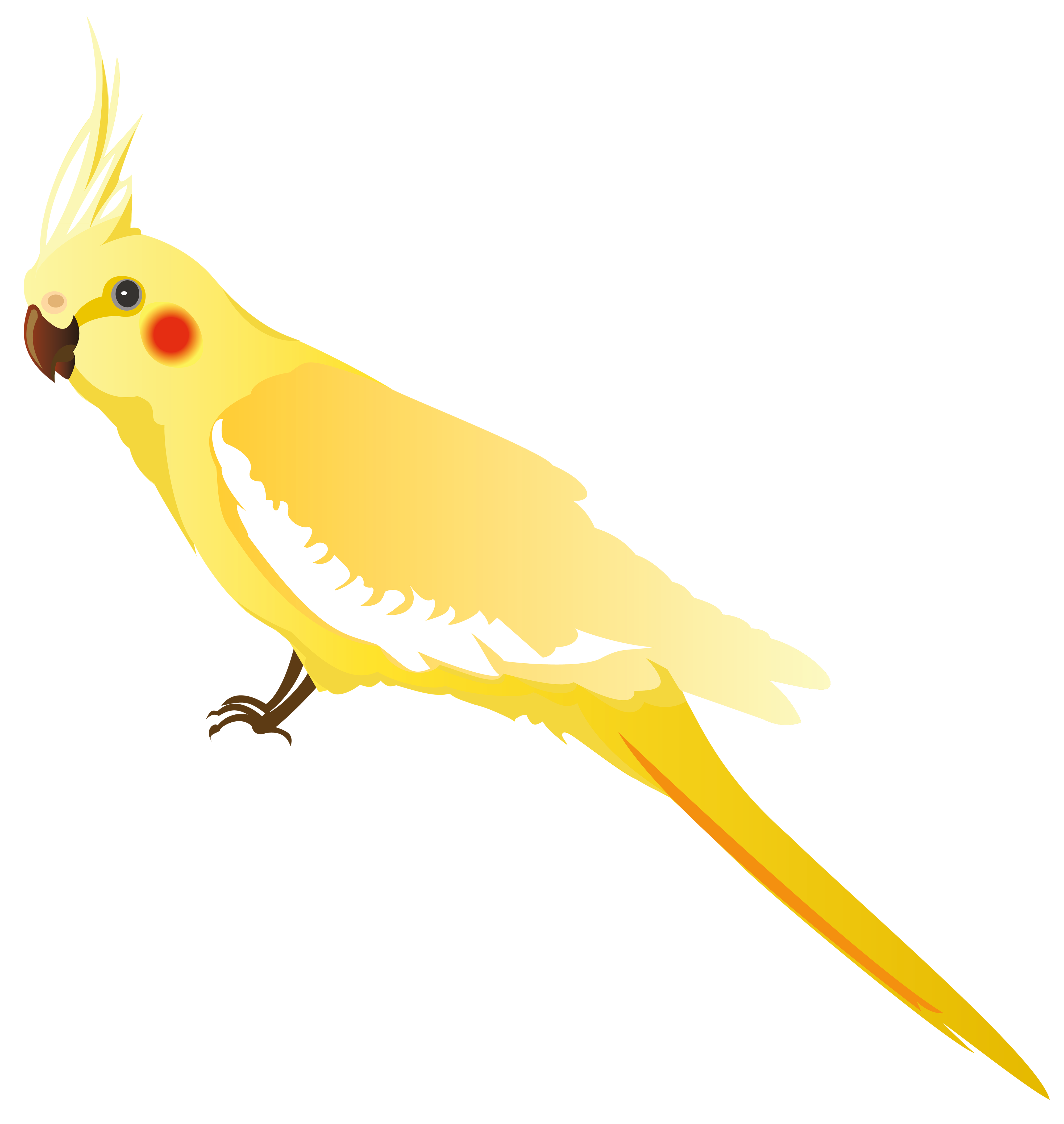 Yellow Parrot PNG Clipart - Best WEB Clipart