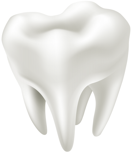 3D White Tooth PNG Clip Art - High-quality PNG Clipart Image in cattegory Dental PNG / Clipart from ClipartPNG.com