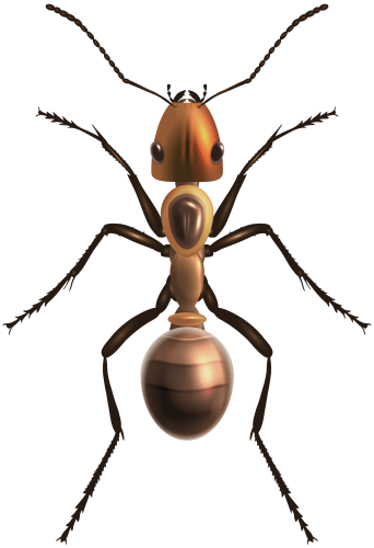 Ant PNG Clip Art - High-quality PNG Clipart Image in cattegory Insects PNG / Clipart from ClipartPNG.com