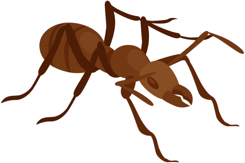 Ant PNG Clip Art - High-quality PNG Clipart Image in cattegory Insects PNG / Clipart from ClipartPNG.com