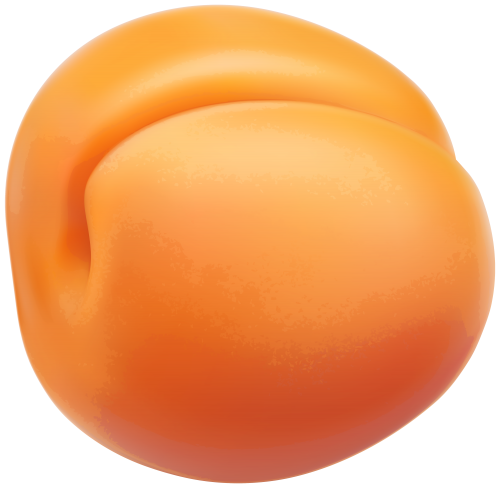 Apricot PNG Clipart - High-quality PNG Clipart Image in cattegory Fruits PNG / Clipart from ClipartPNG.com