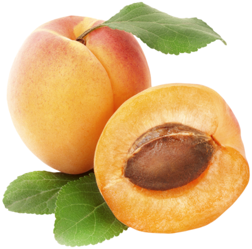 Apricots PNG Clipart - High-quality PNG Clipart Image in cattegory Fruits PNG / Clipart from ClipartPNG.com