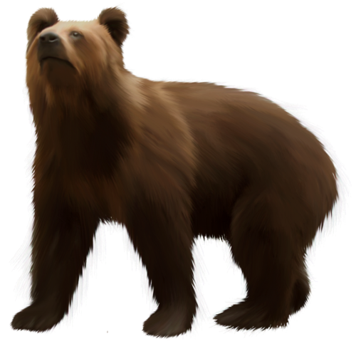 Bear Brown PNG Clip Art - High-quality PNG Clipart Image in cattegory Animals PNG / Clipart from ClipartPNG.com