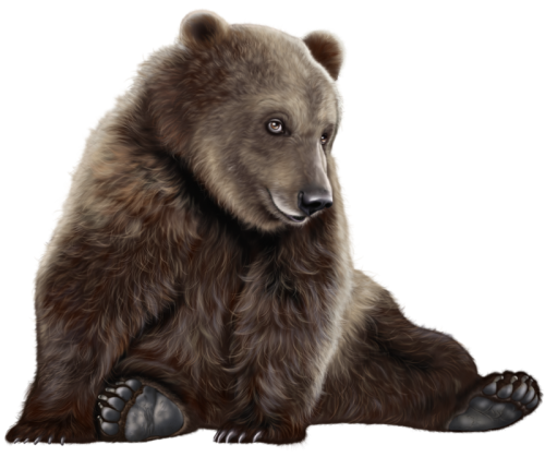 Bear PNG Clip Art - High-quality PNG Clipart Image in cattegory Animals PNG / Clipart from ClipartPNG.com