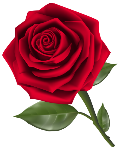 Beautiful Red Rose PNG Clipart - High-quality PNG Clipart Image in cattegory Flowers PNG / Clipart from ClipartPNG.com
