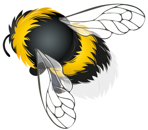 Bee PNG Clipart - High-quality PNG Clipart Image in cattegory Insects PNG / Clipart from ClipartPNG.com