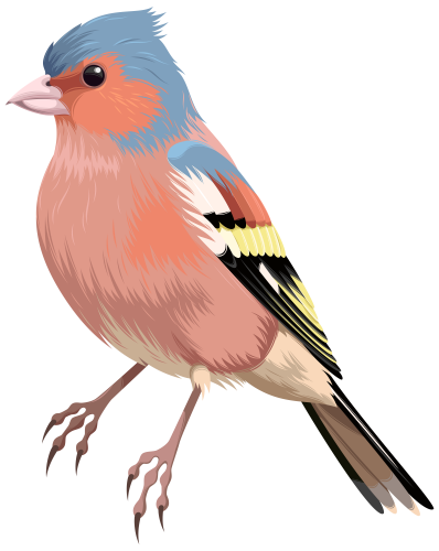 Bird PNG Clip Art - High-quality PNG Clipart Image in cattegory Birds PNG / Clipart from ClipartPNG.com
