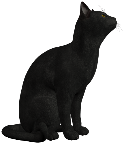 Black Cat PNG Clipart - High-quality PNG Clipart Image in cattegory Animals PNG / Clipart from ClipartPNG.com