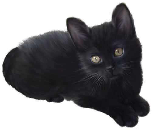 Black Kitten PNG Clipart - High-quality PNG Clipart Image in cattegory Animals PNG / Clipart from ClipartPNG.com