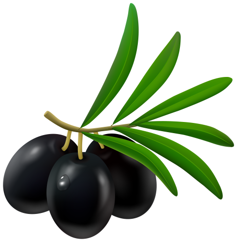 Black Olive PNG Clipart - High-quality PNG Clipart Image in cattegory Vegetables PNG / Clipart from ClipartPNG.com